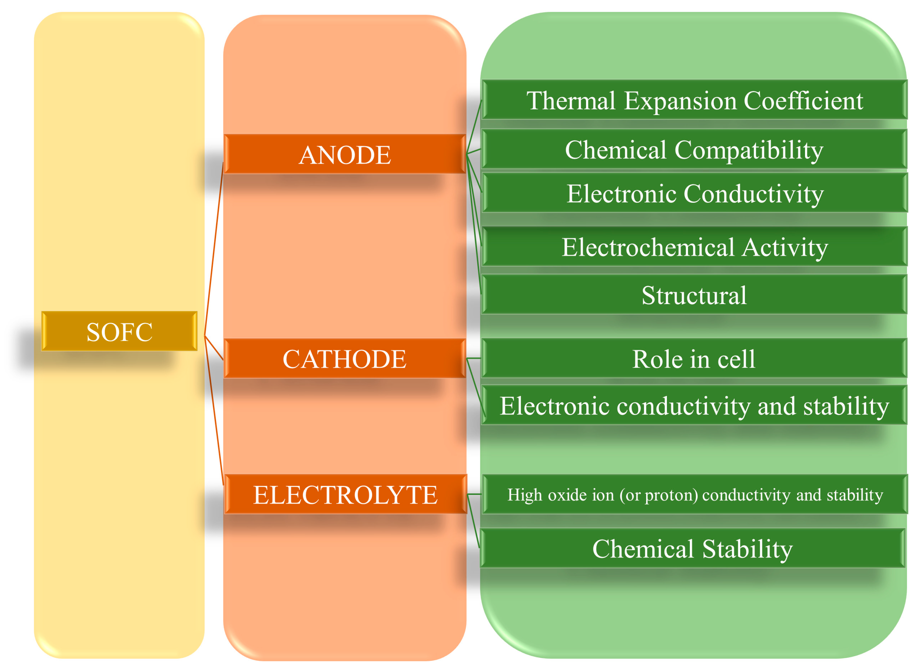 Molecules 29 02937 g001
