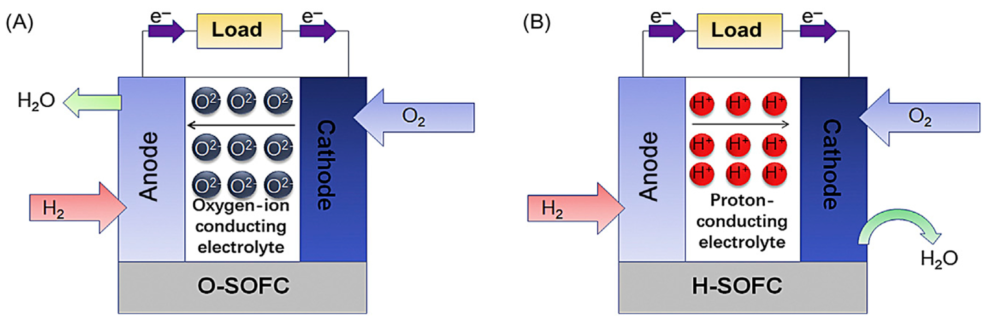 Molecules 29 02937 g002