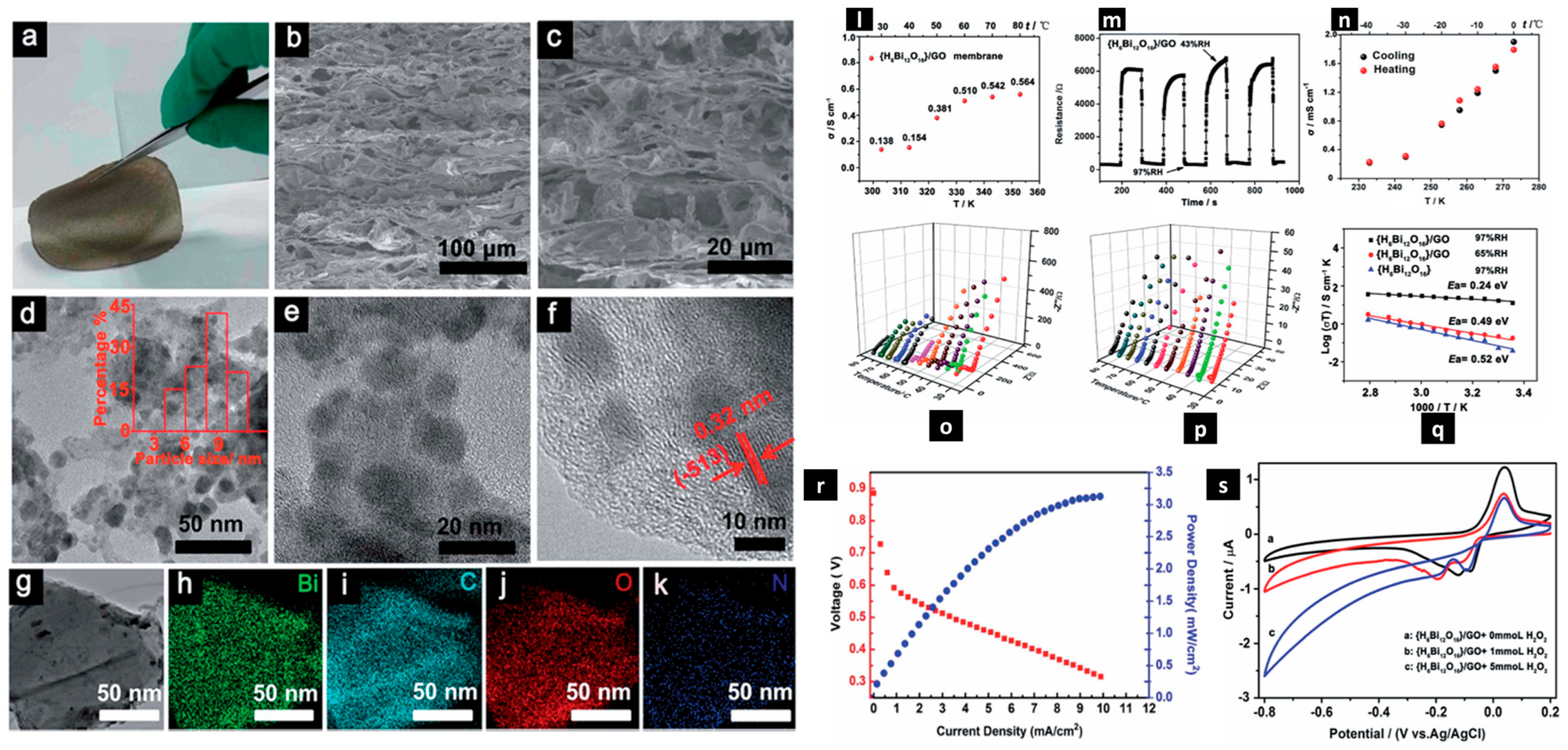 Molecules 29 02937 g005