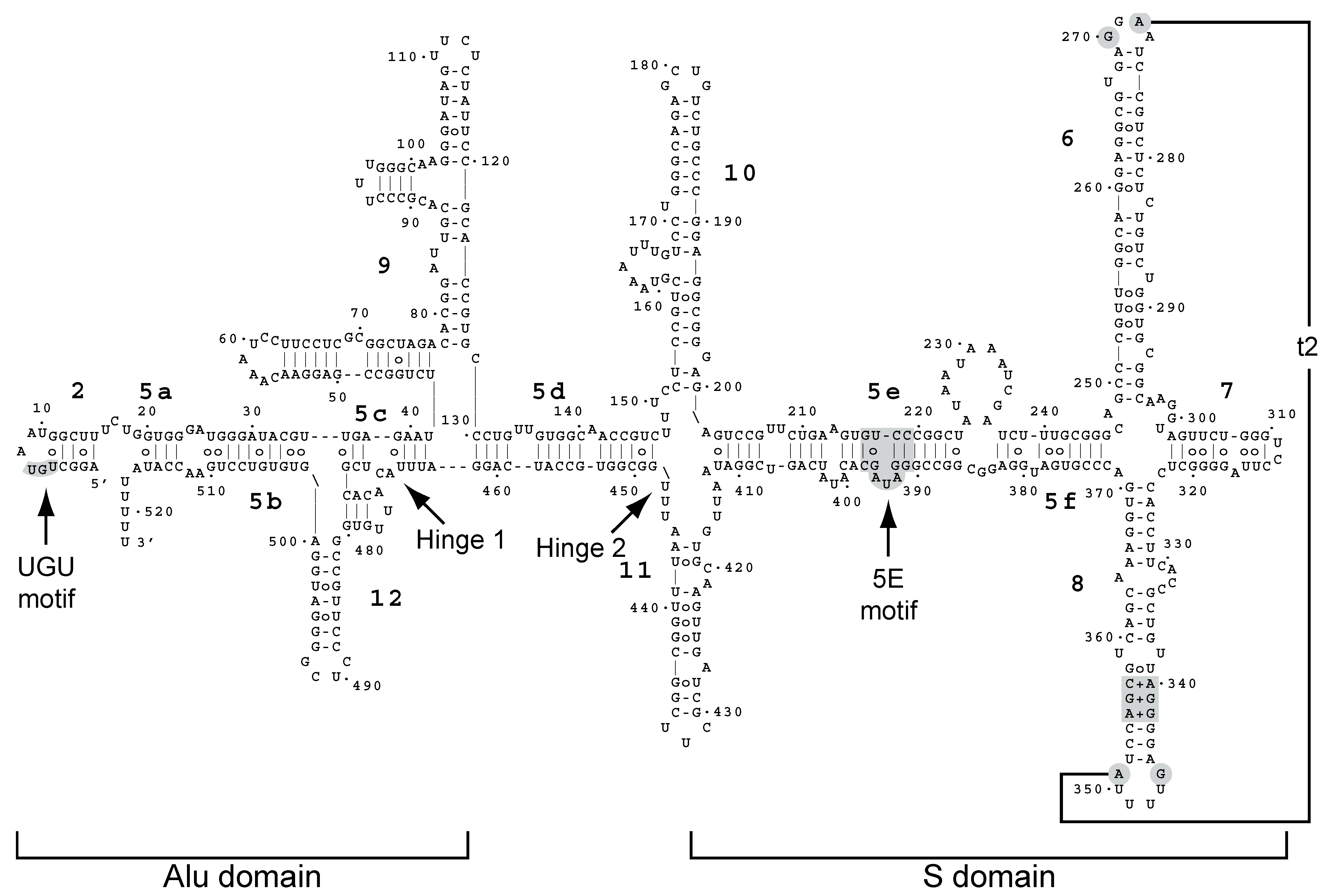 Molecules 29 02944 g001 Molecules 29 02944 g001