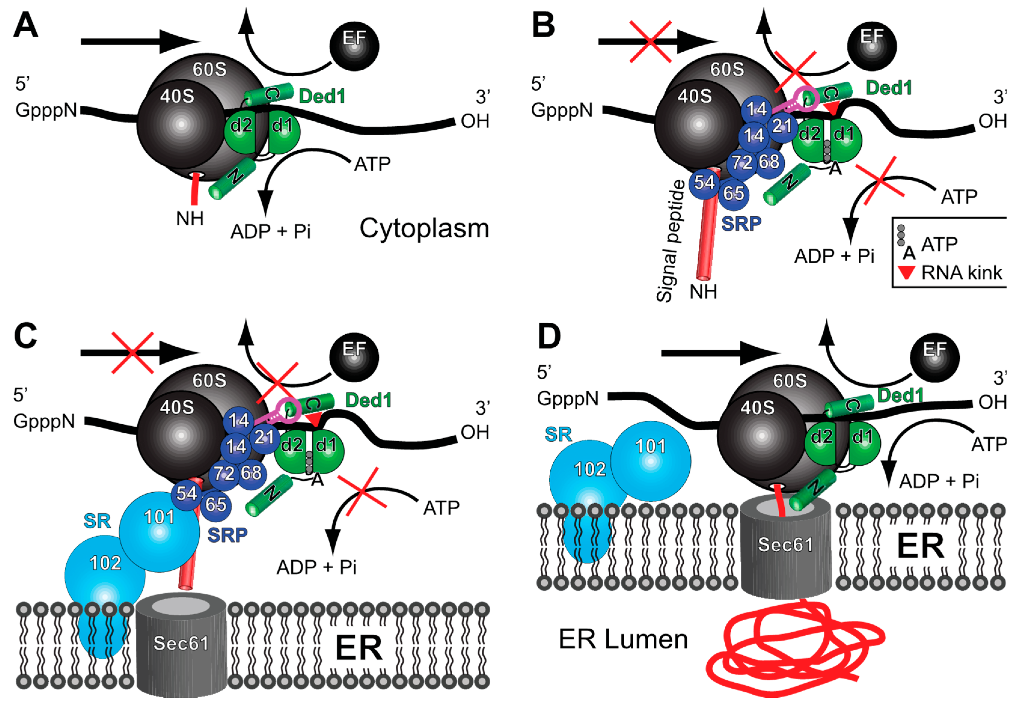 Molecules 29 02944 g010 Molecules 29 02944 g010