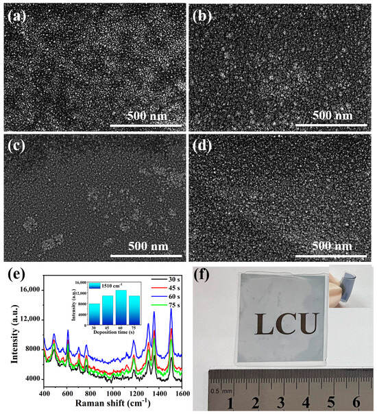 Curvature-Insensitive Transparent Surface-Enhanced Raman Scattering ...