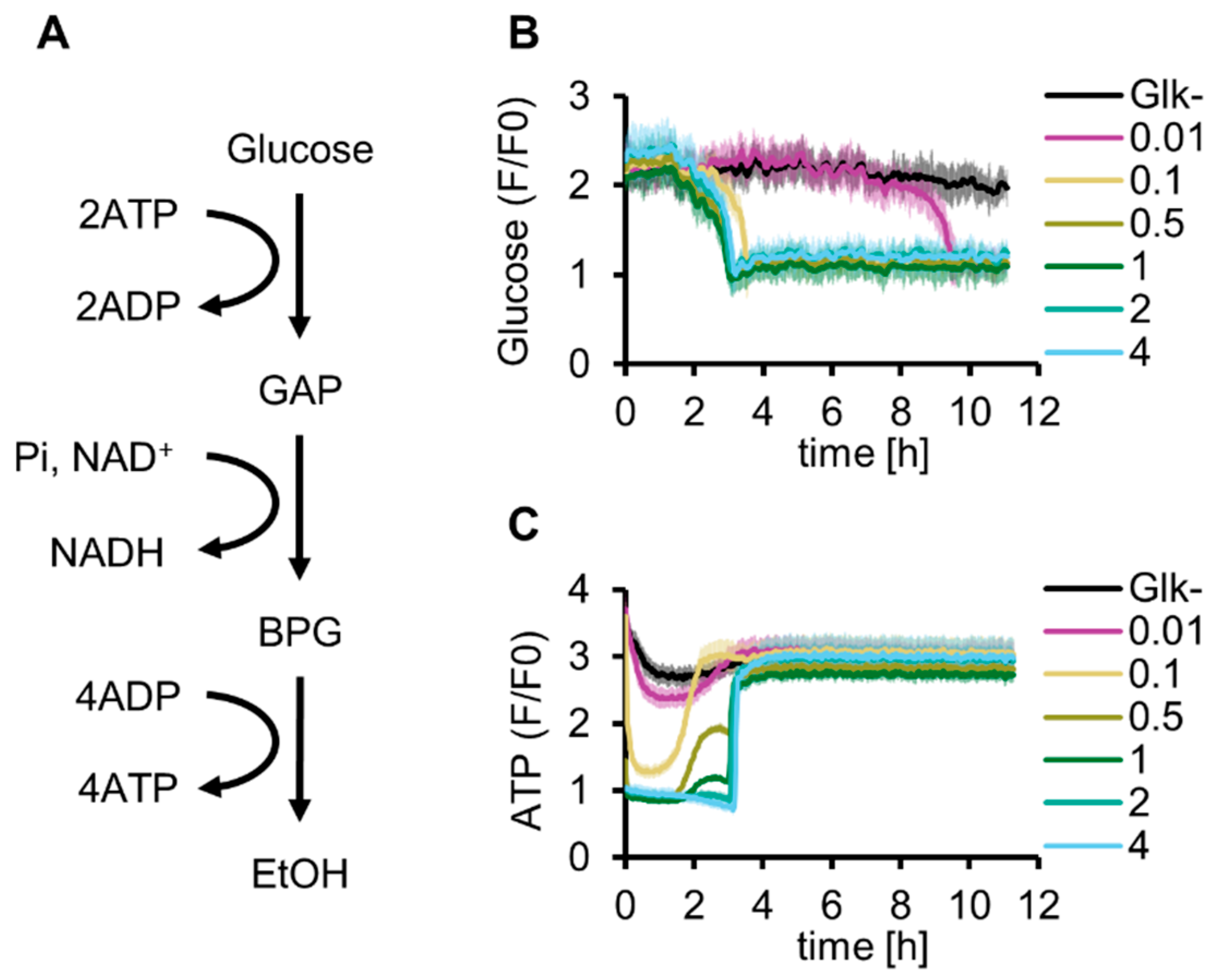 Molecules 29 02956 g001