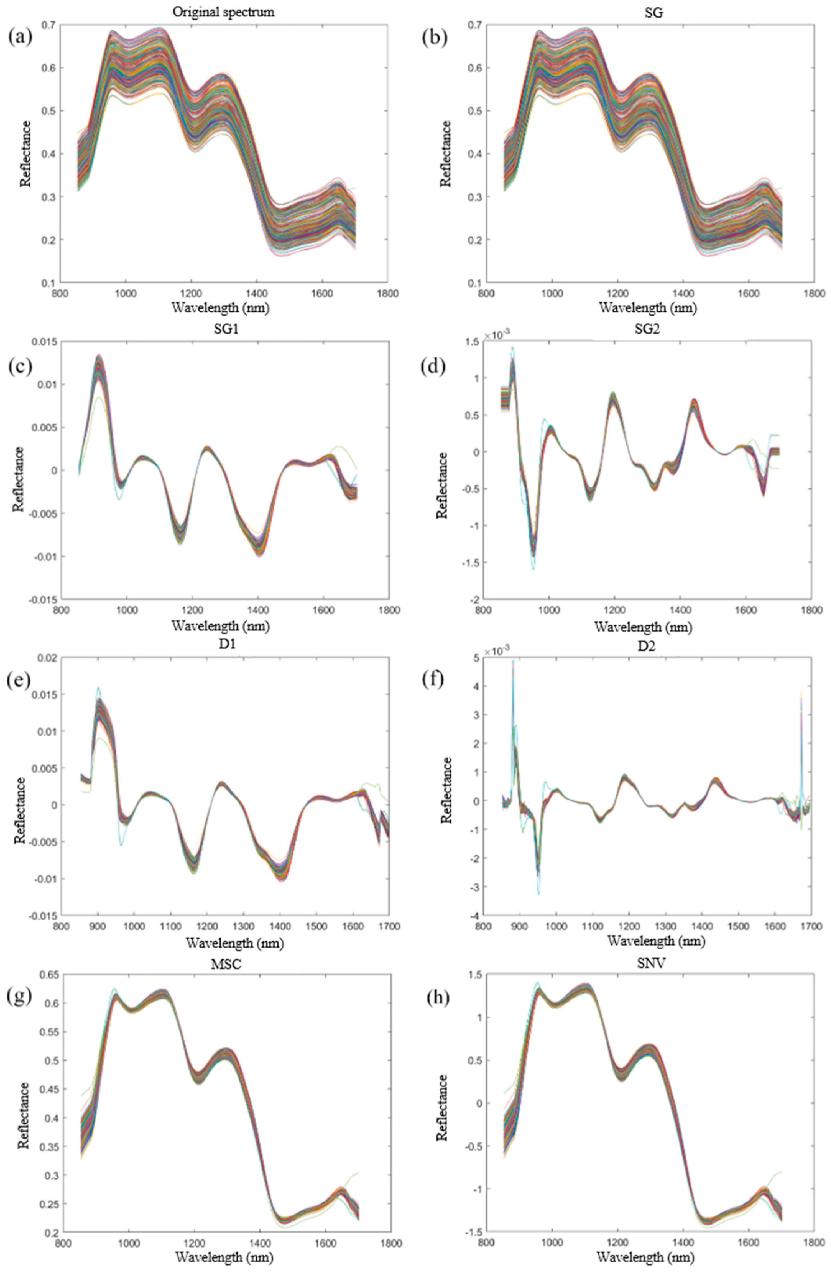 Molecules 29 02968 g004