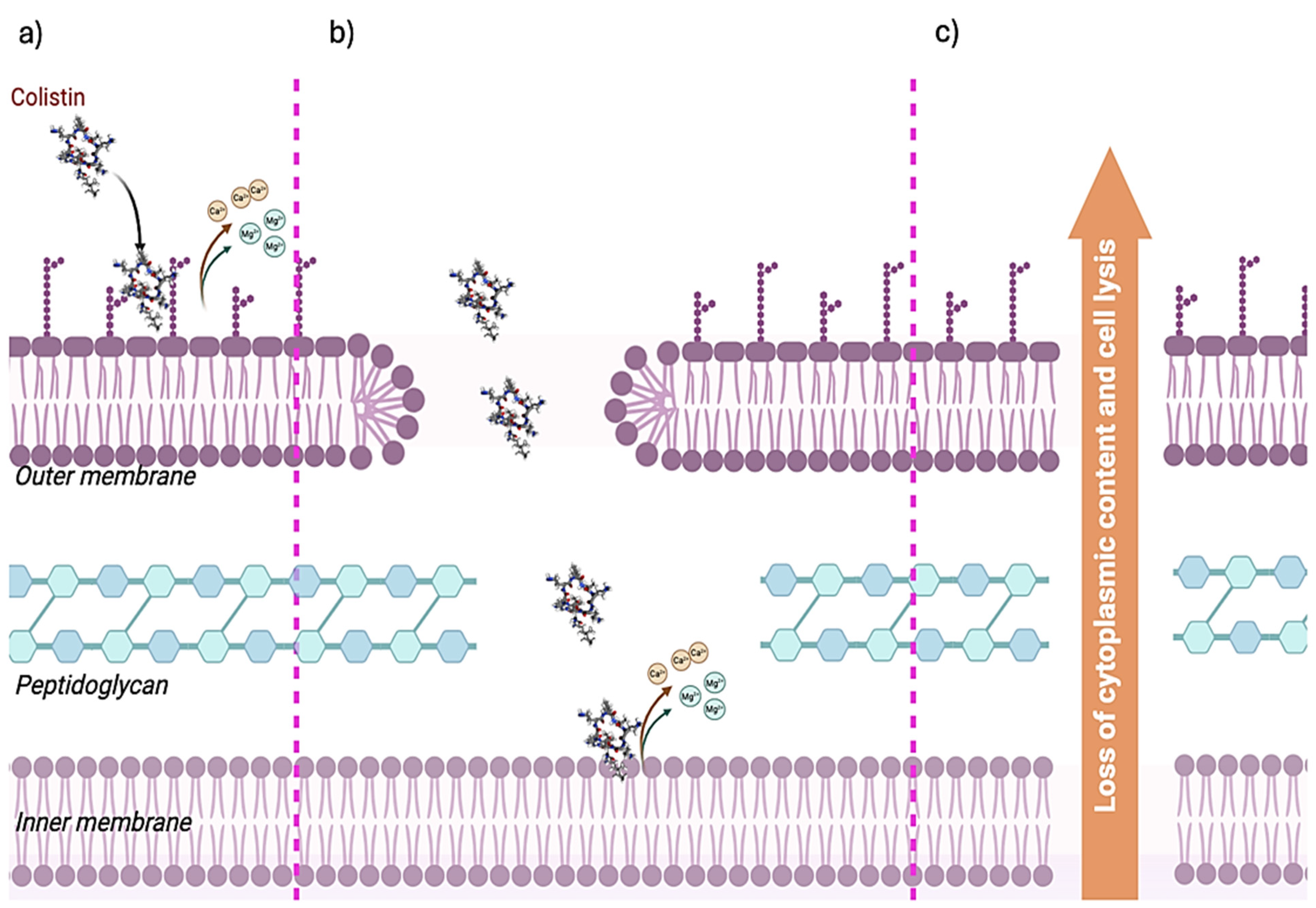 Molecules 29 02969 g002