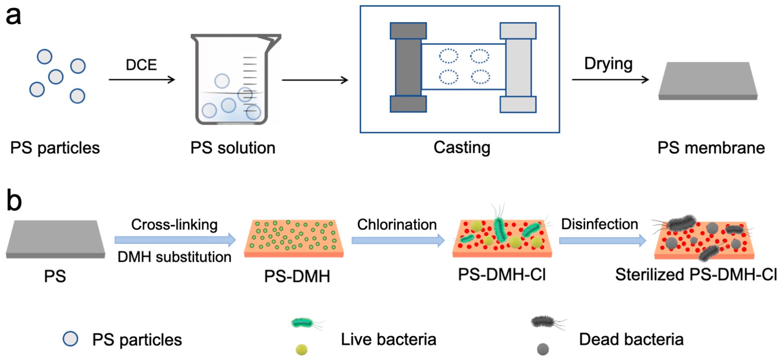 Molecules 29 02980 g001