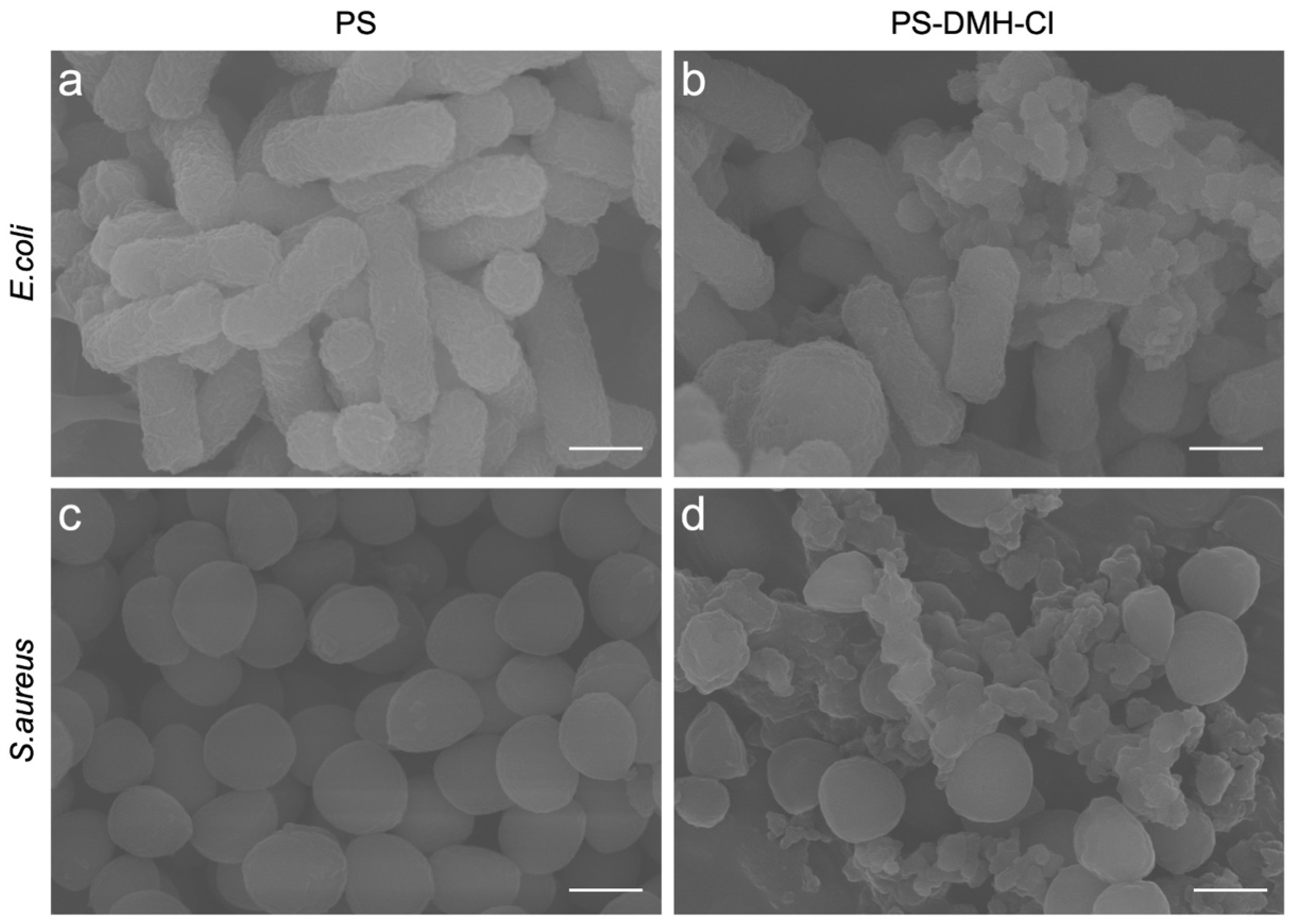 Molecules 29 02980 g008