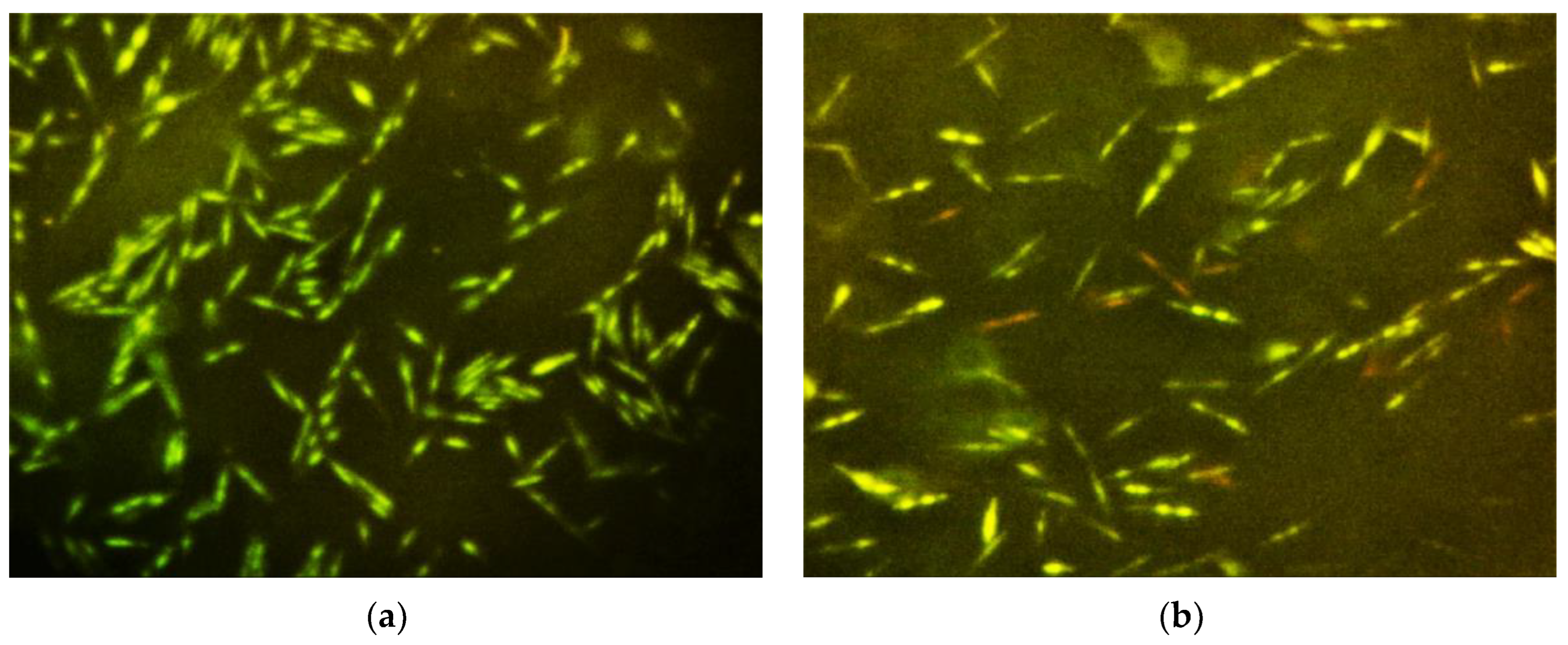 Molecules 29 02982 g003a