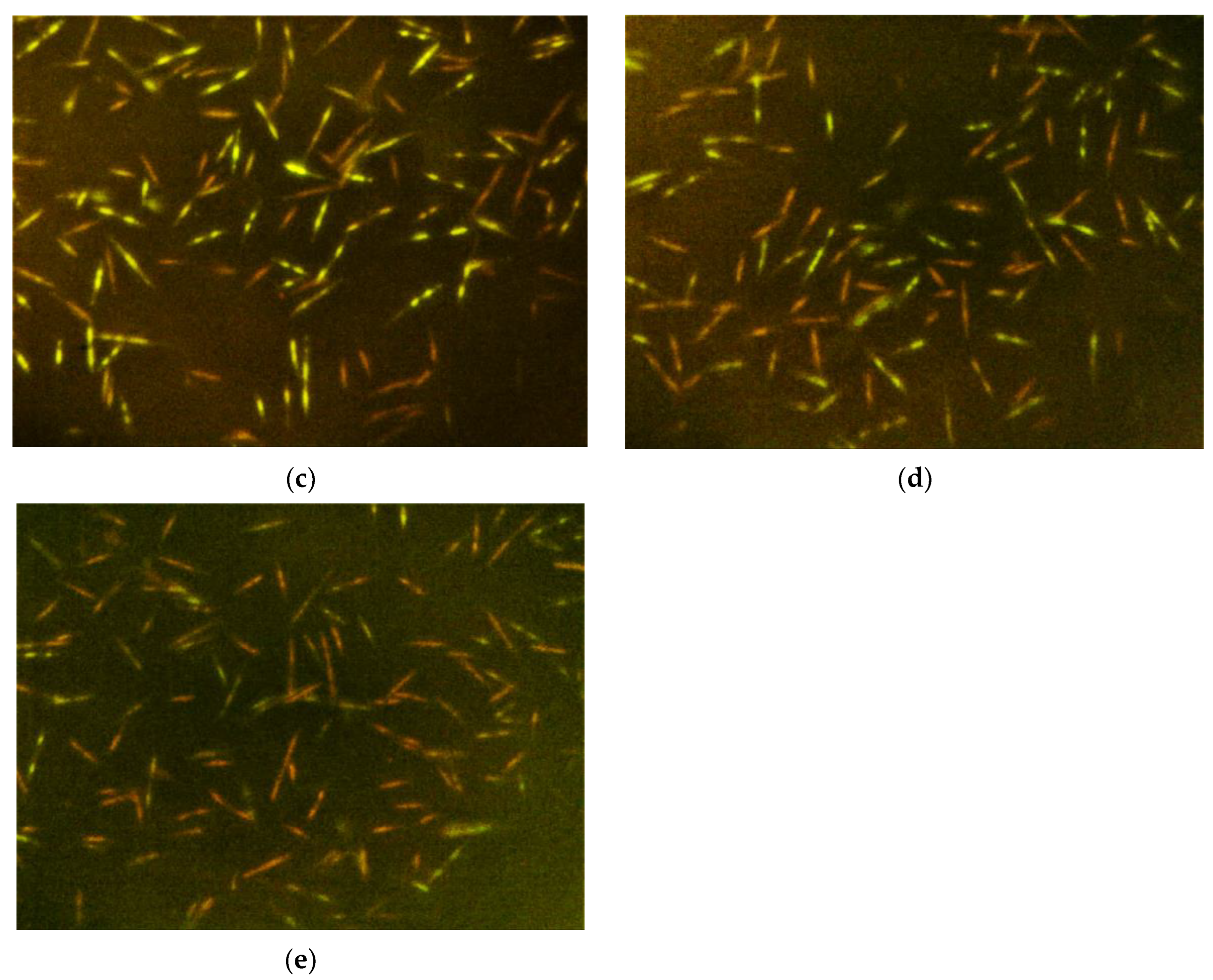 Molecules 29 02982 g003b