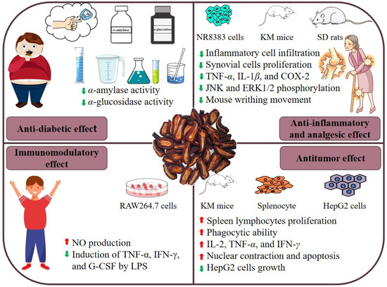 co Inhibition of DJ-1 induces TFAM secretion from cancer cells