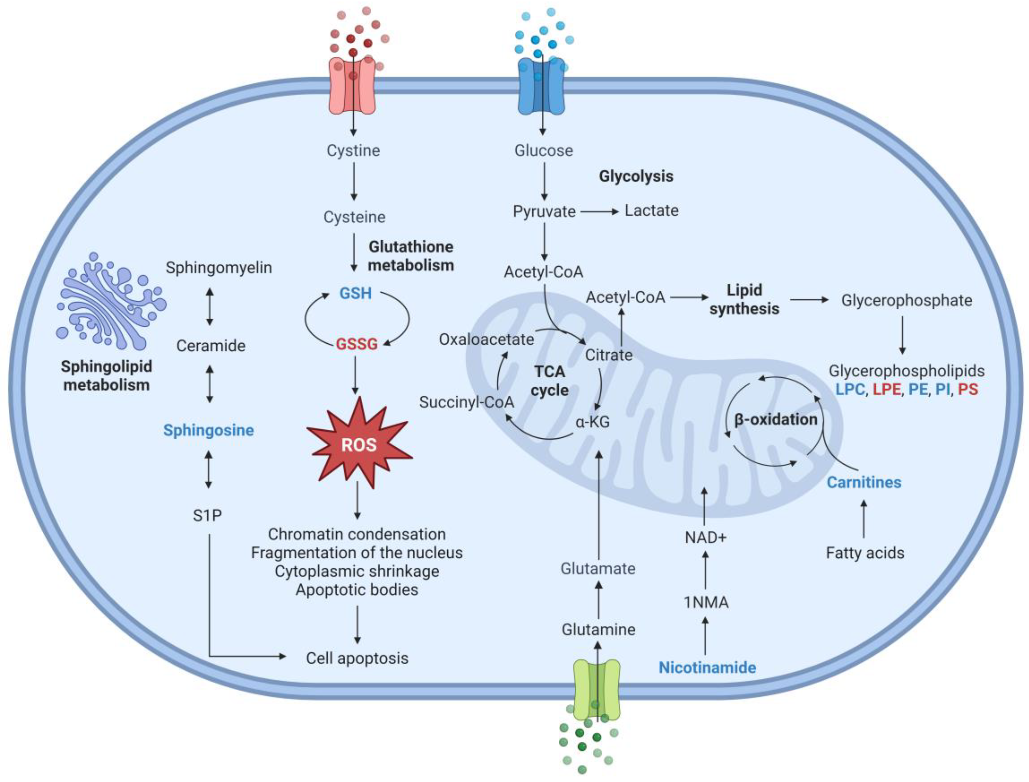 Molecules 29 02985 g011