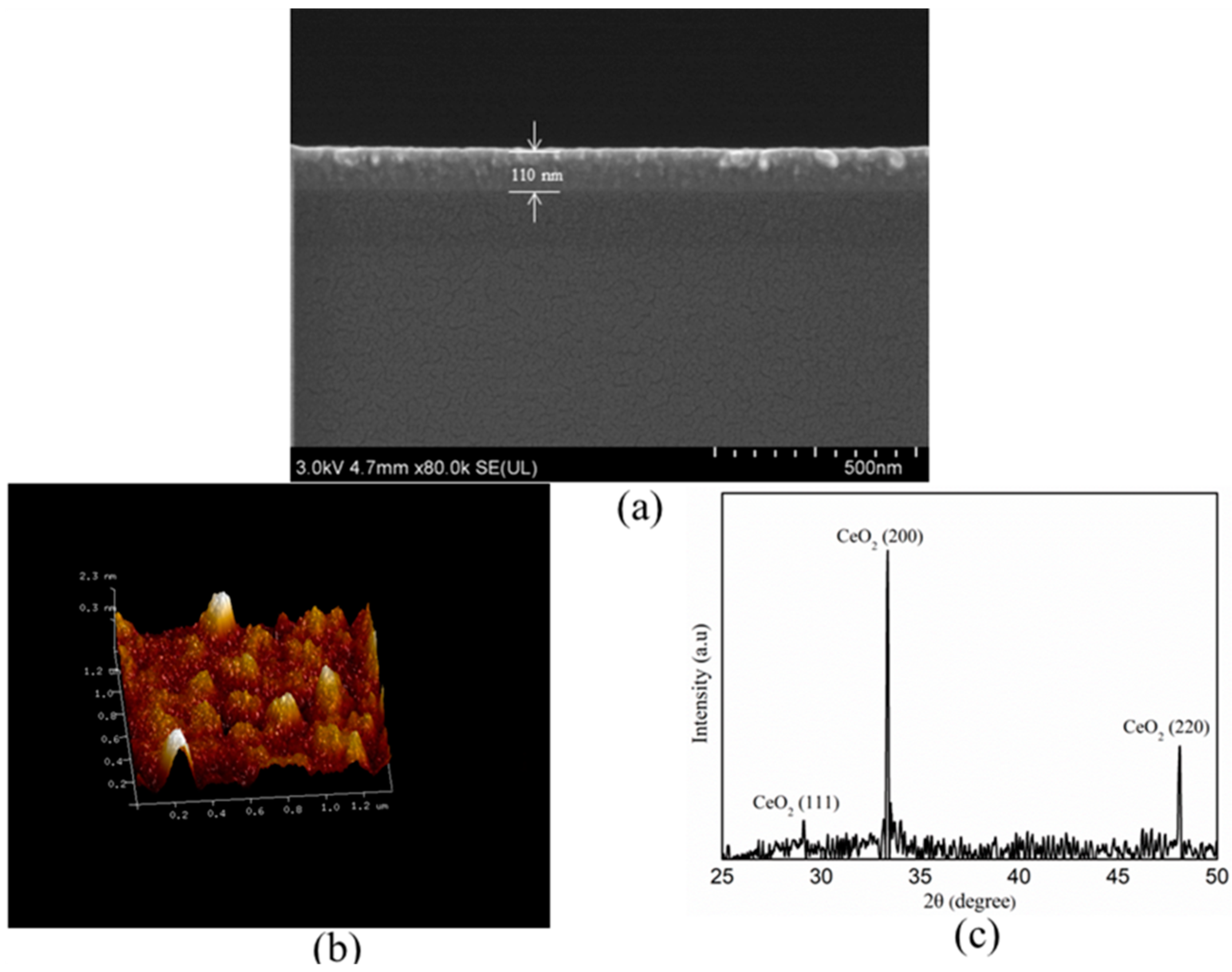 Molecules 29 02987 g005