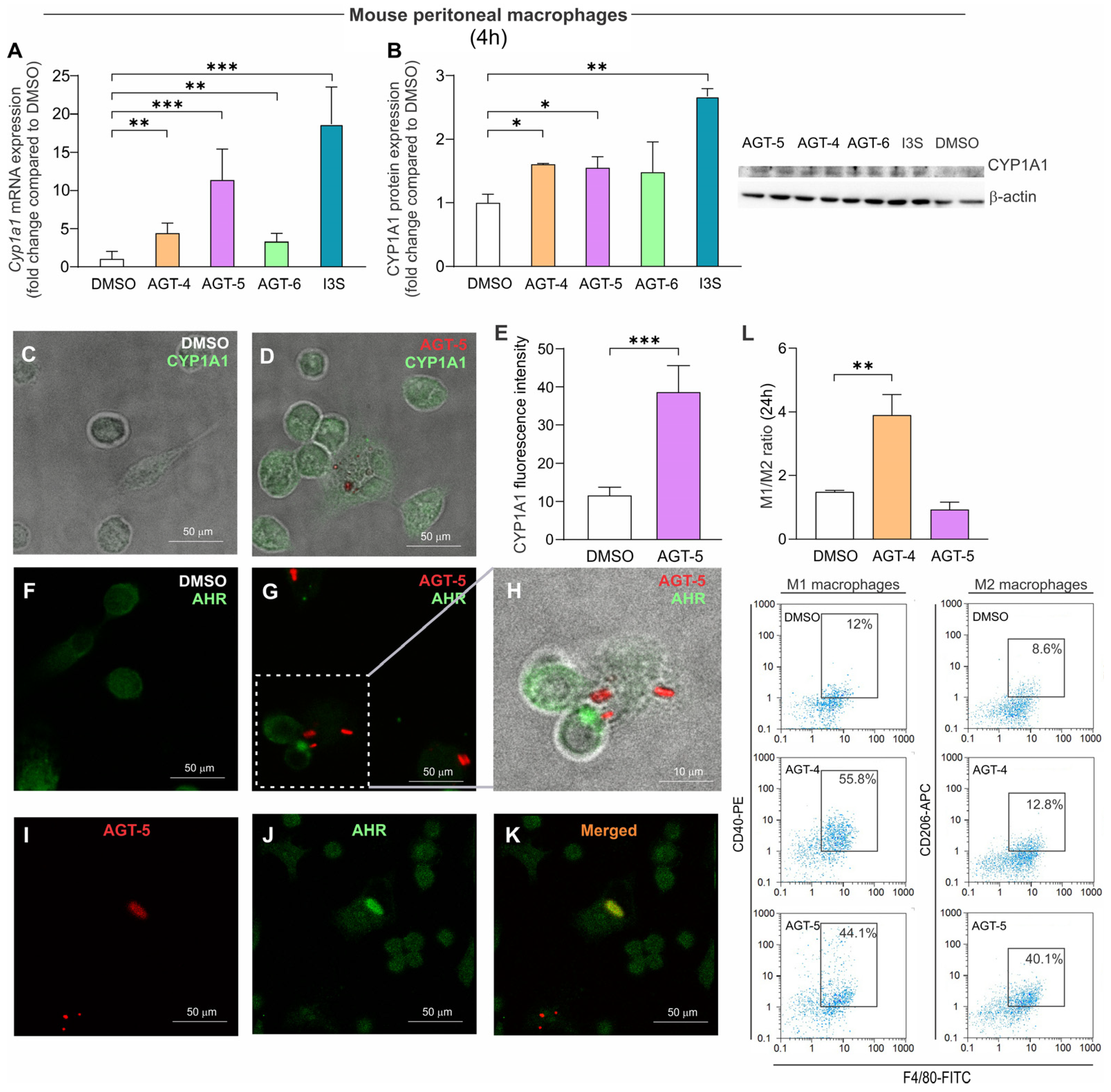 Molecules 29 02988 g004