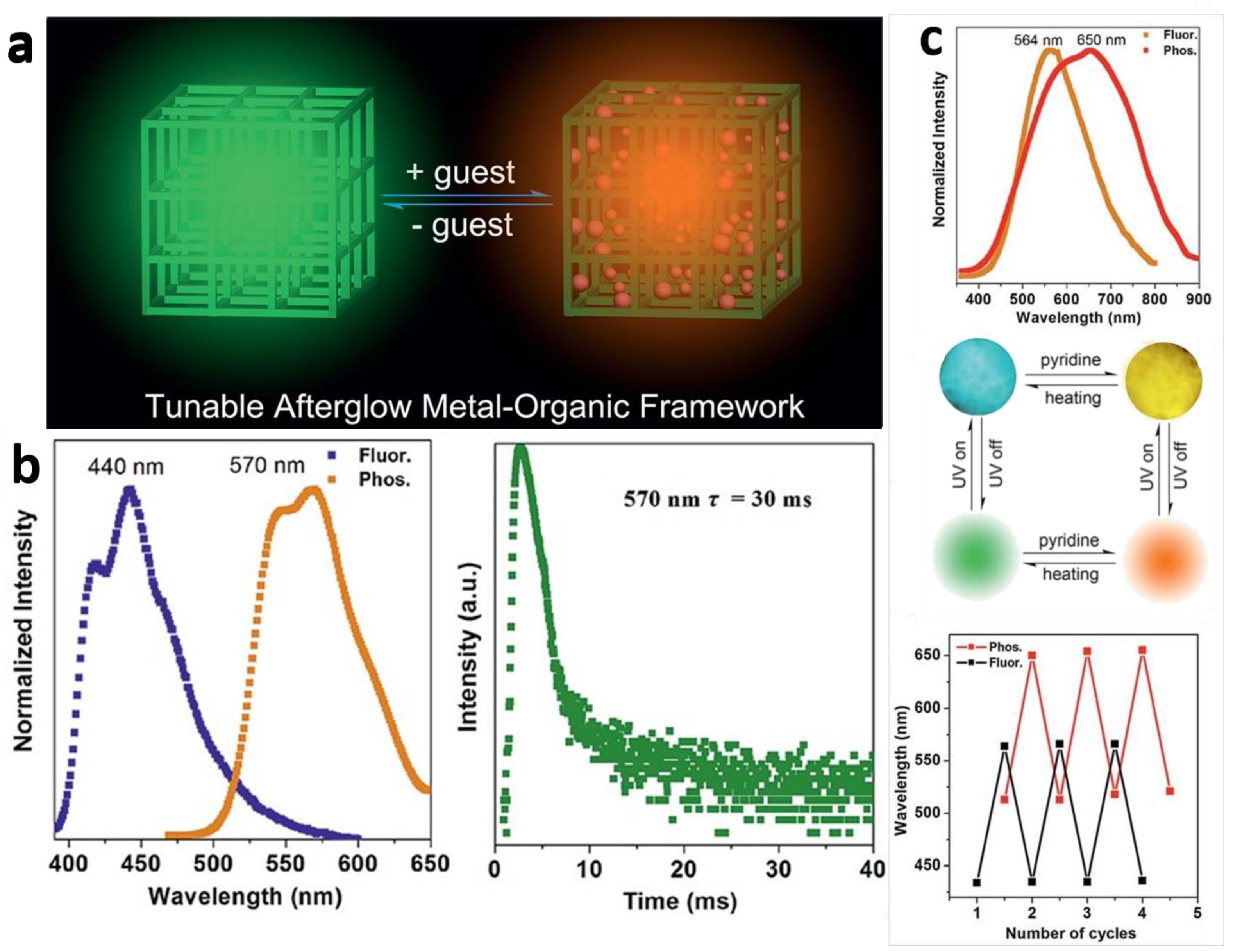 Molecules 29 02989 g007