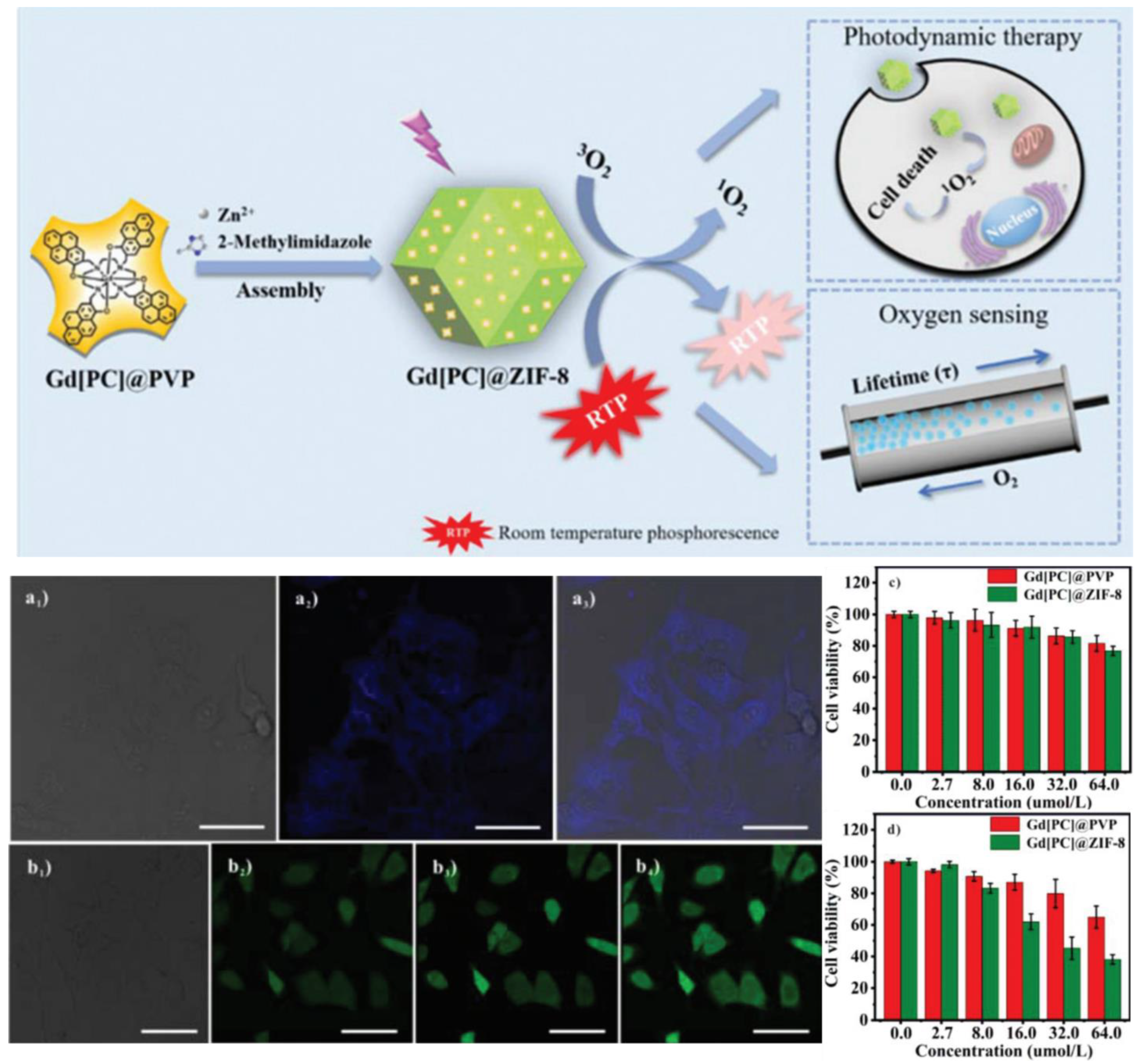 Molecules 29 02989 g010