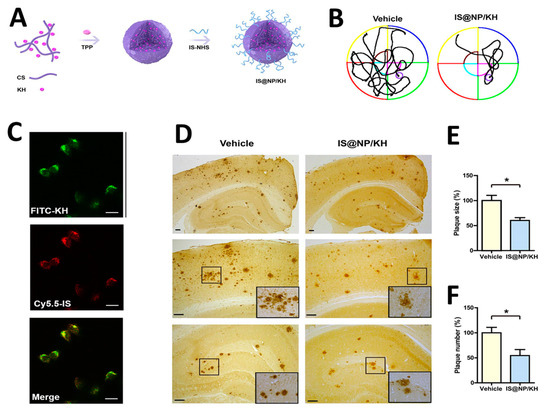Phage Display Technology in Biomarker Identification with Emphasis on ...