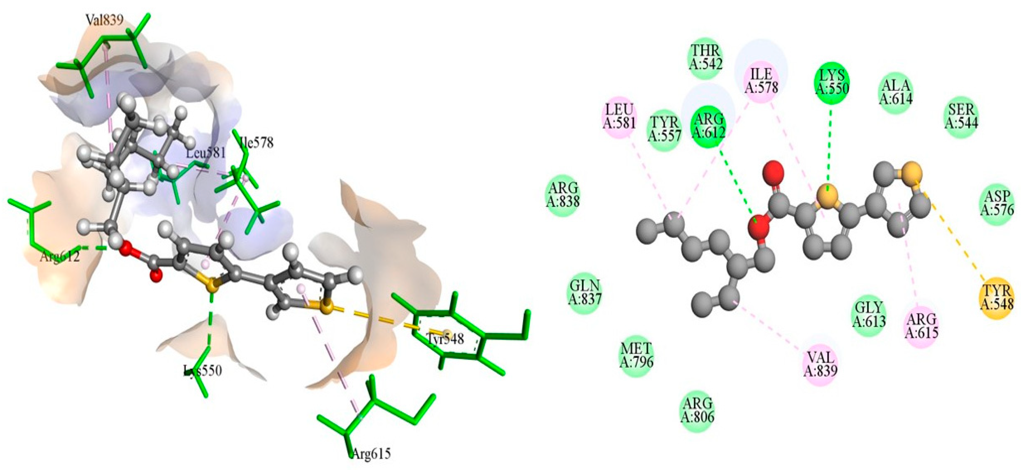 Molecules 29 03005 g002 Molecules 29 03005 g002