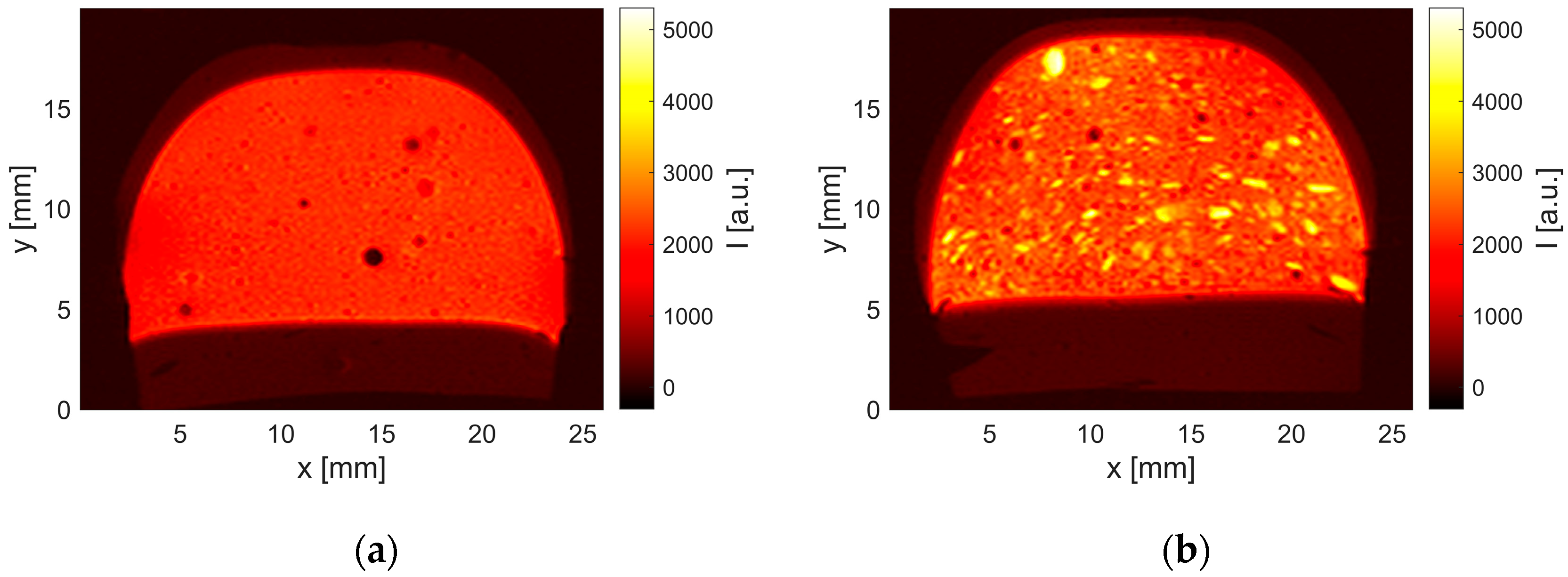 Molecules 29 03024 g001