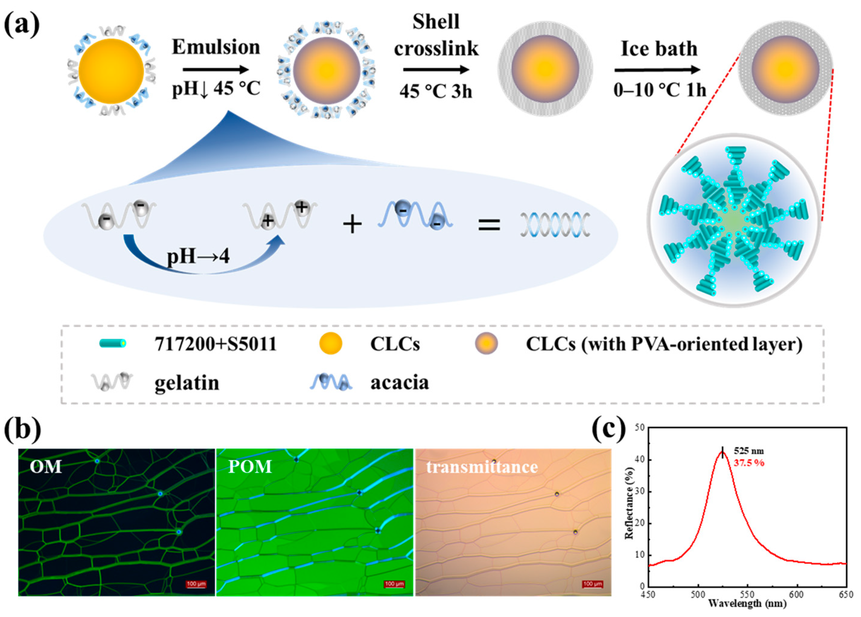 Molecules 29 03030 g001