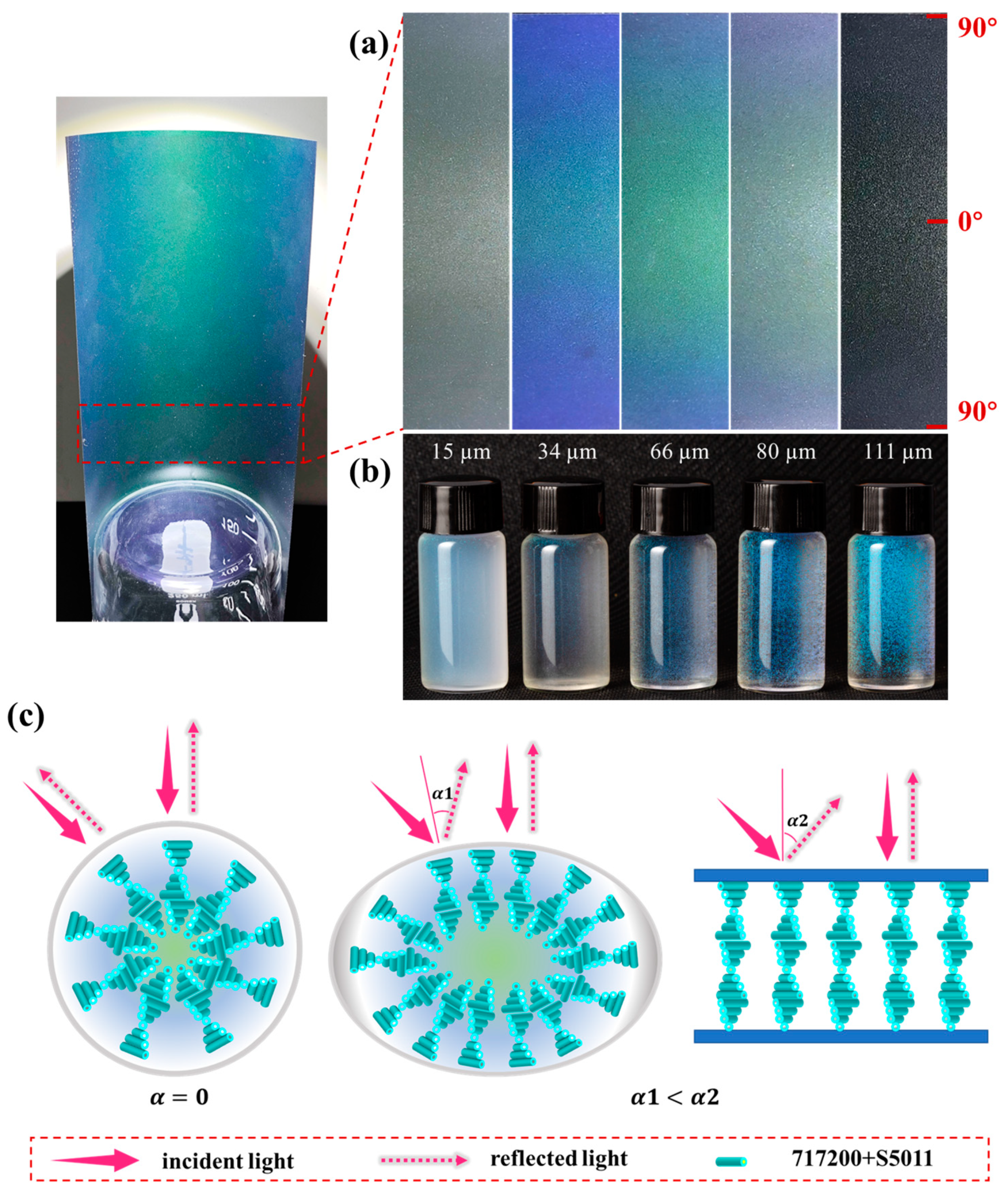 Molecules 29 03030 g009
