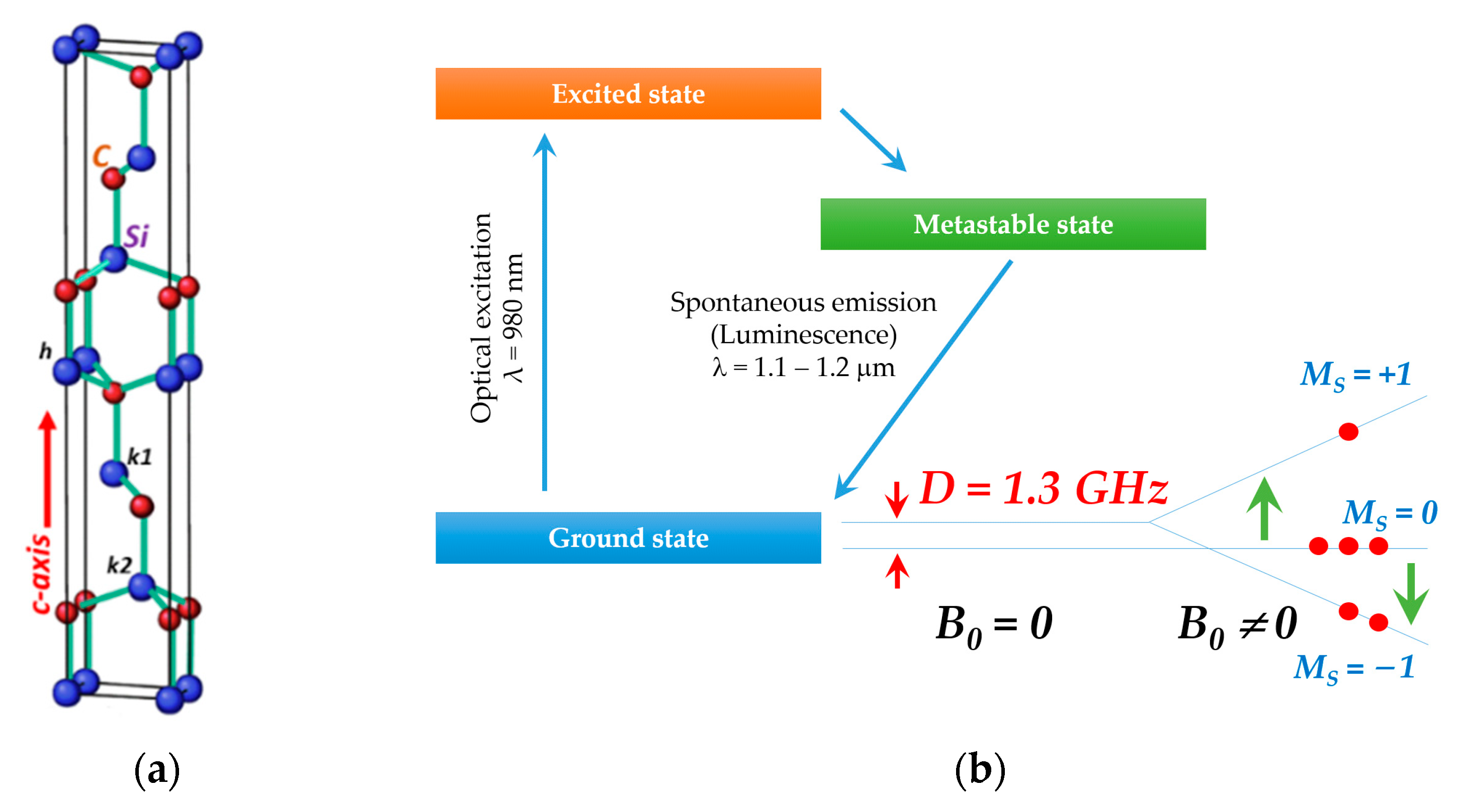 Molecules 29 03033 g001
