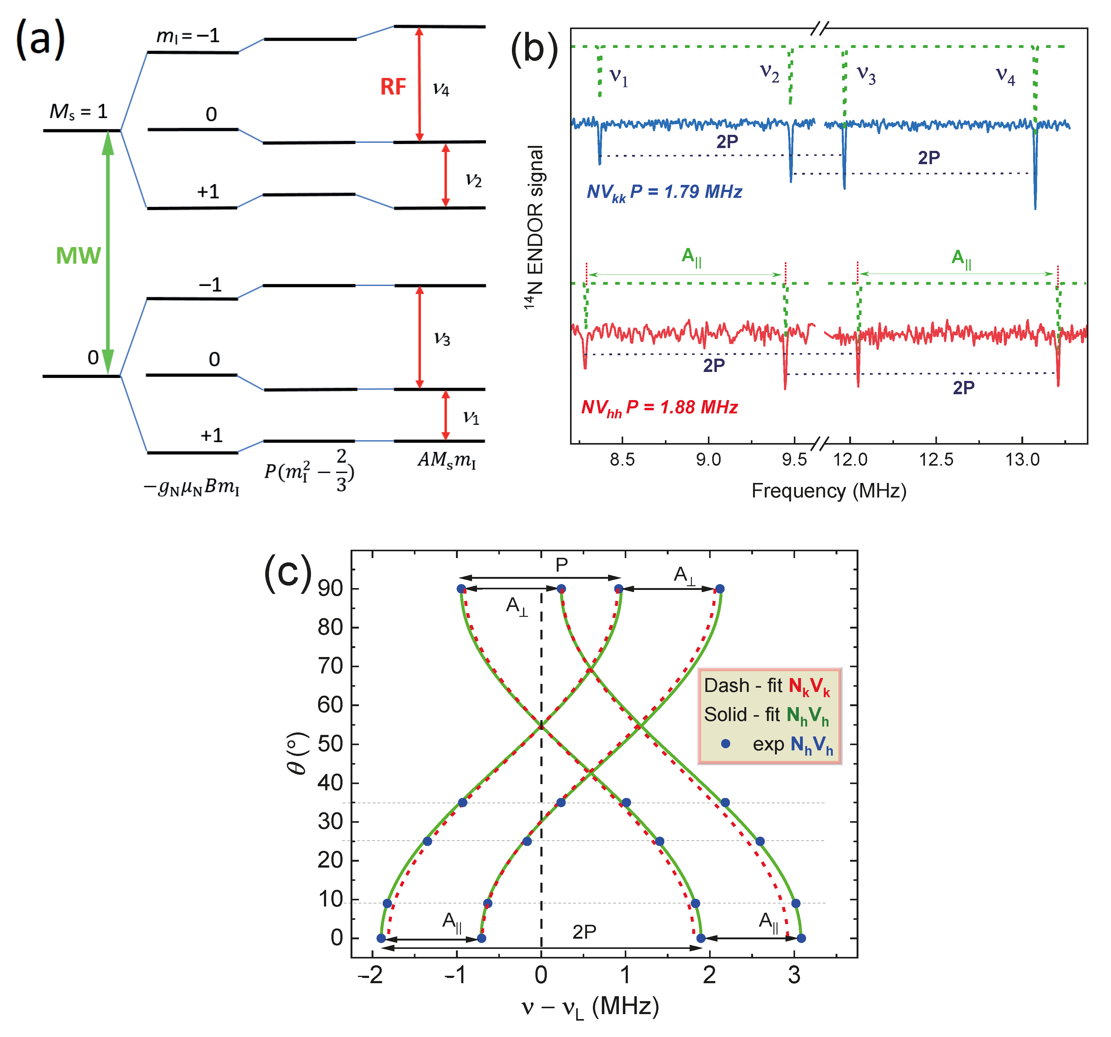 Molecules 29 03033 g011