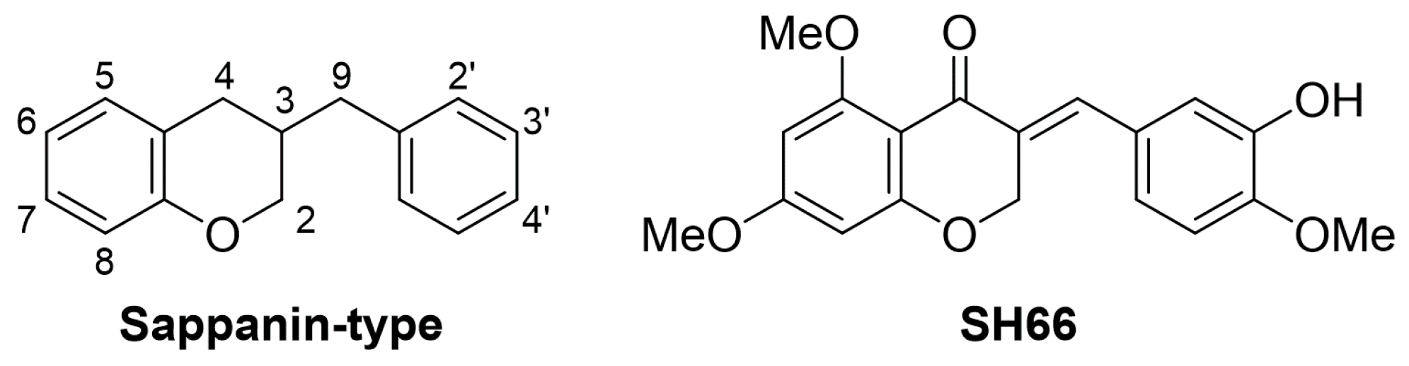 Molecules 29 03037 g001