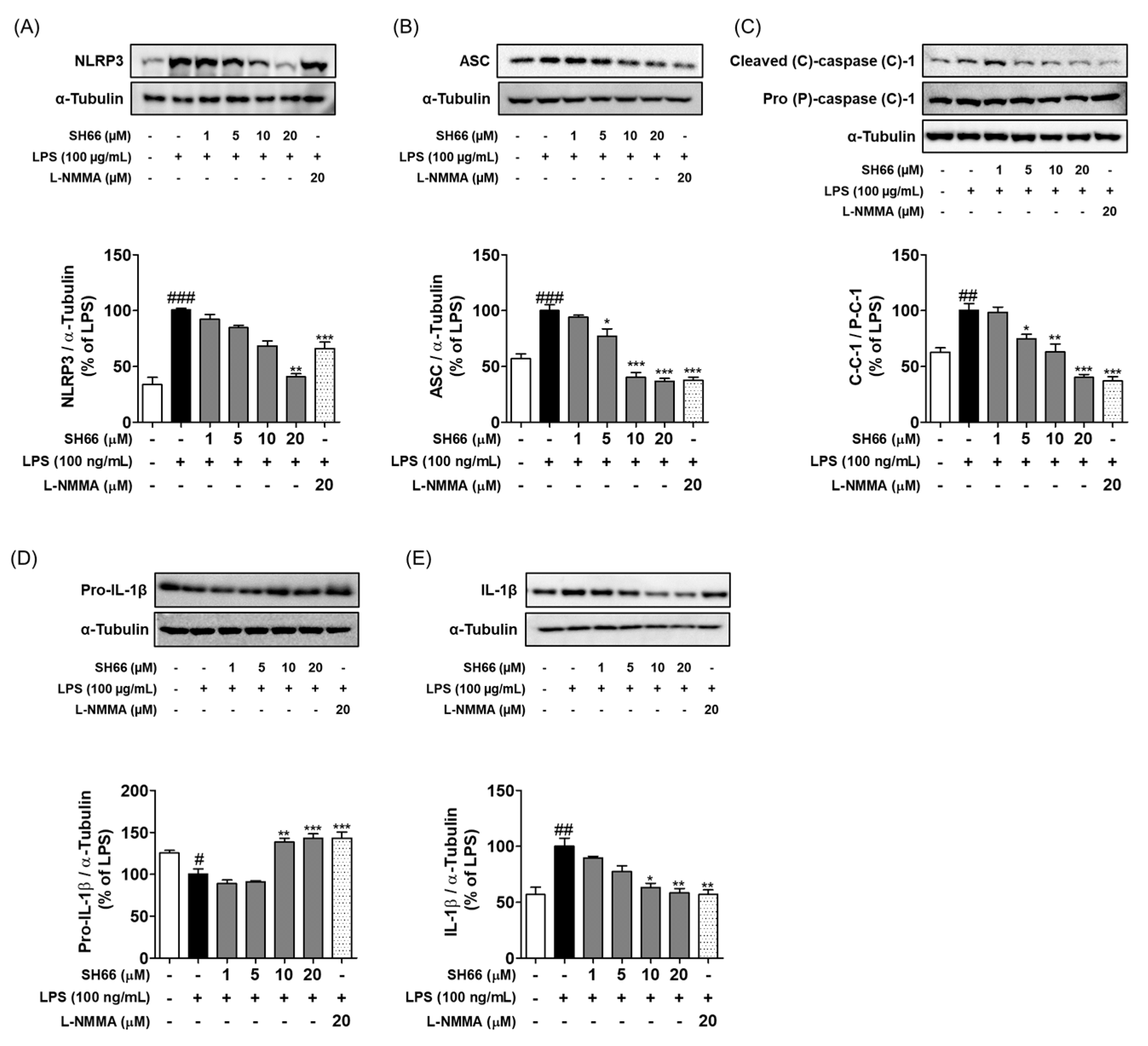 Molecules 29 03037 g004