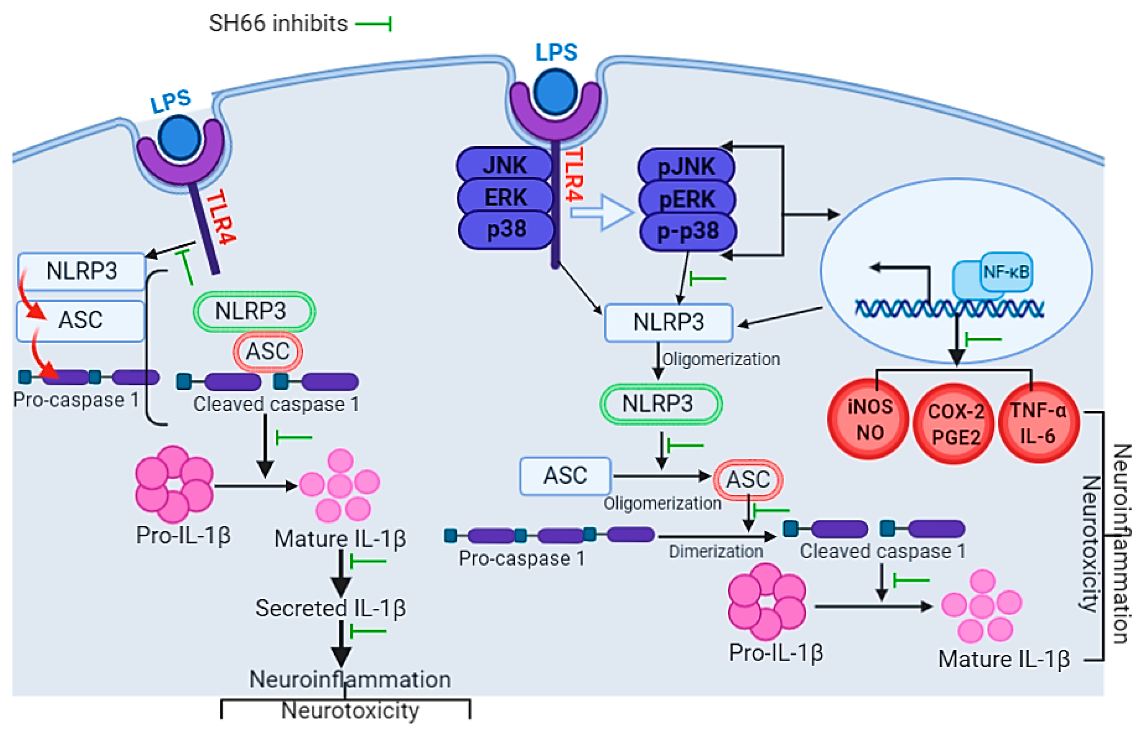 Molecules 29 03037 g007