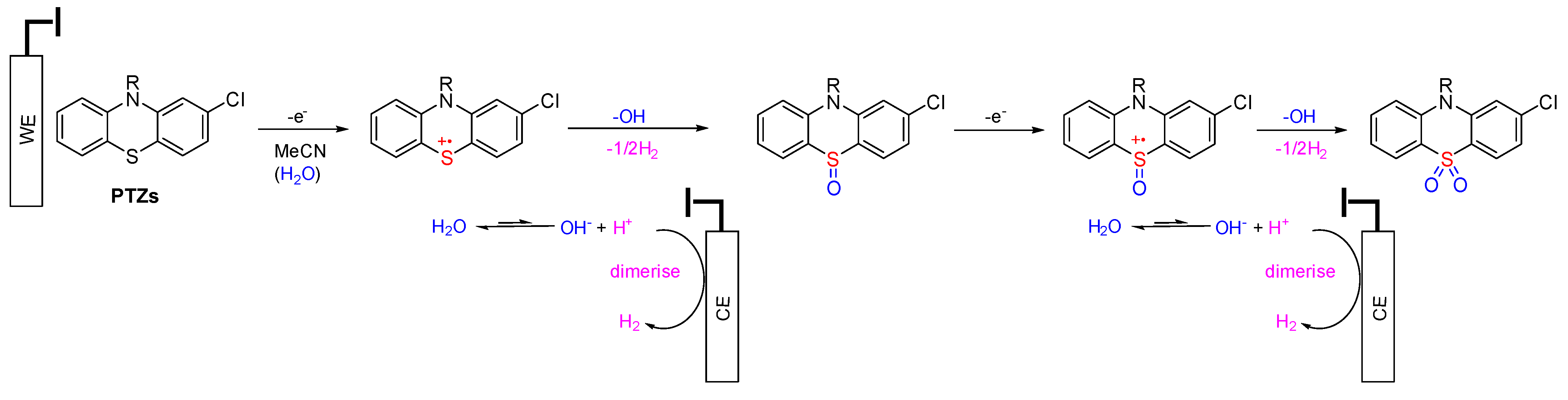 Molecules 29 03038 sch003