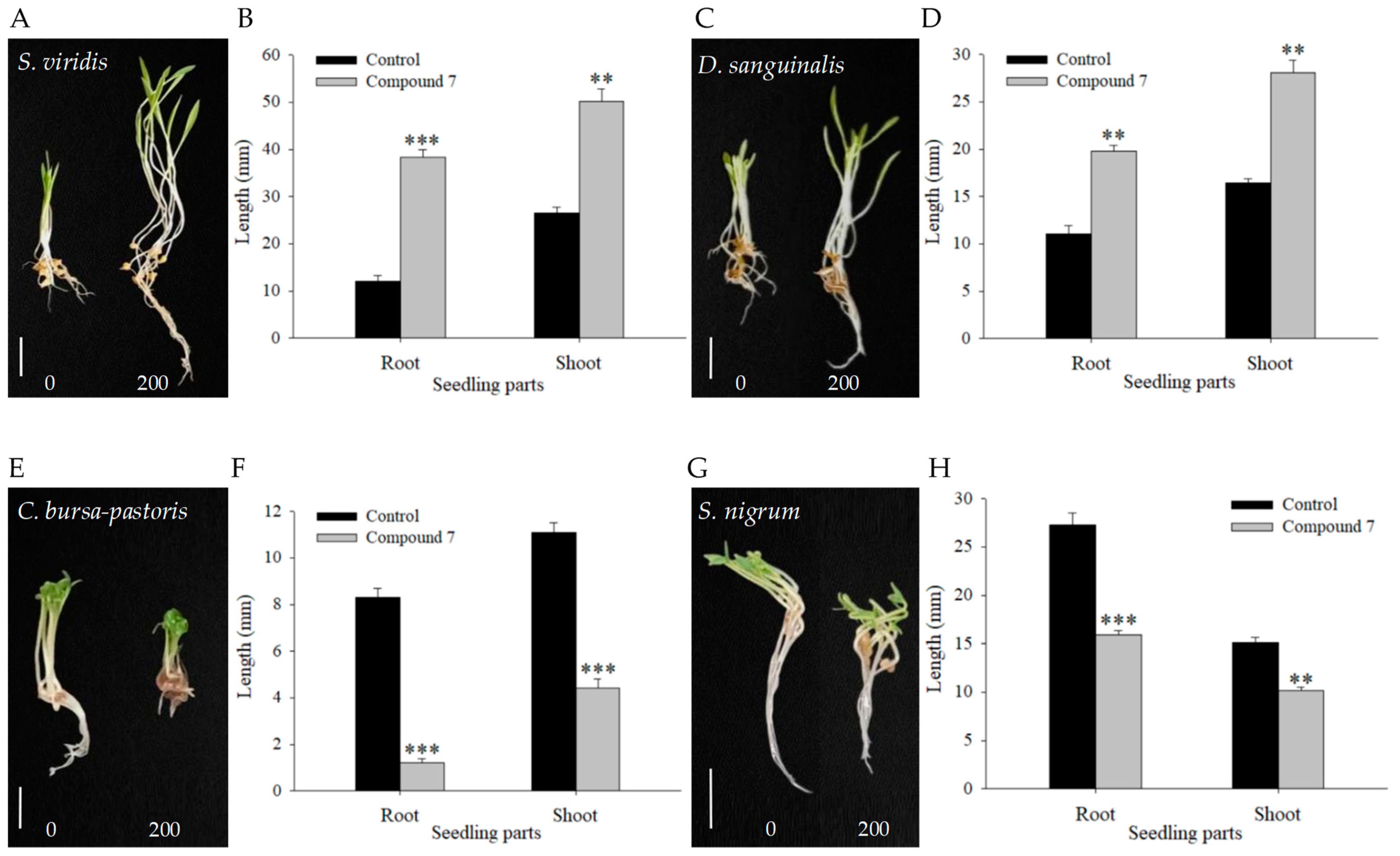 Molecules 29 03040 g003