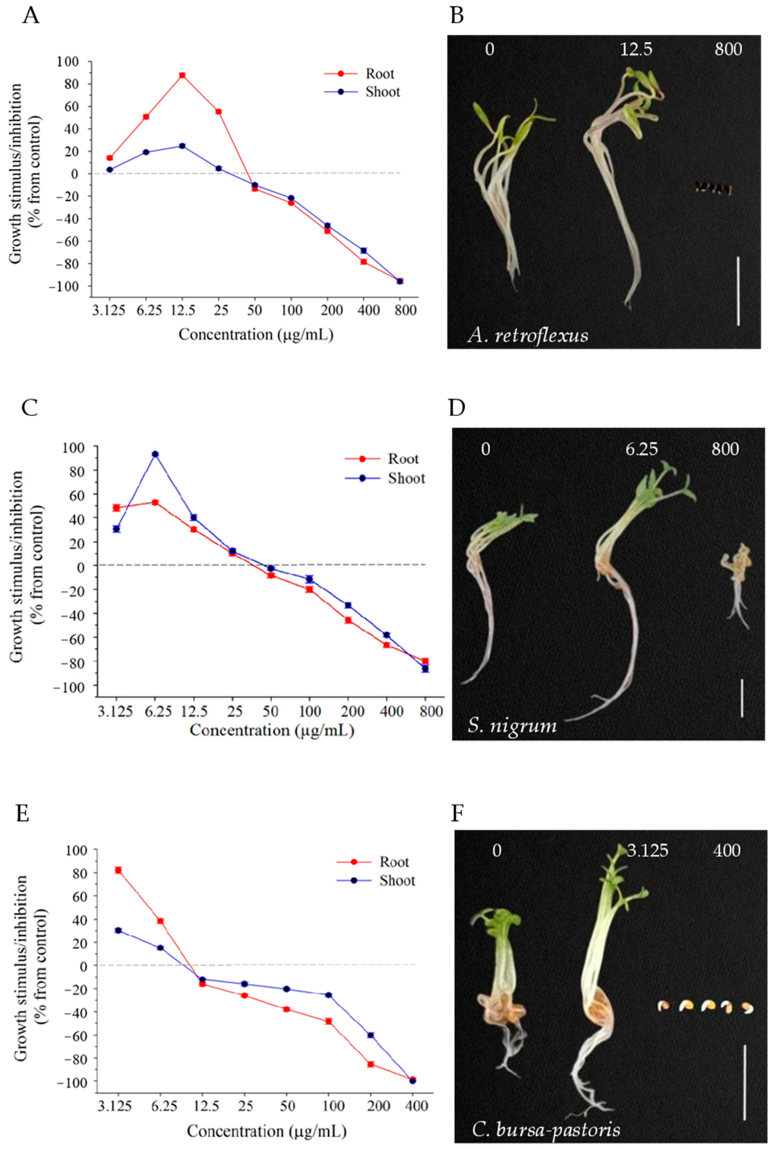 Molecules 29 03040 g004