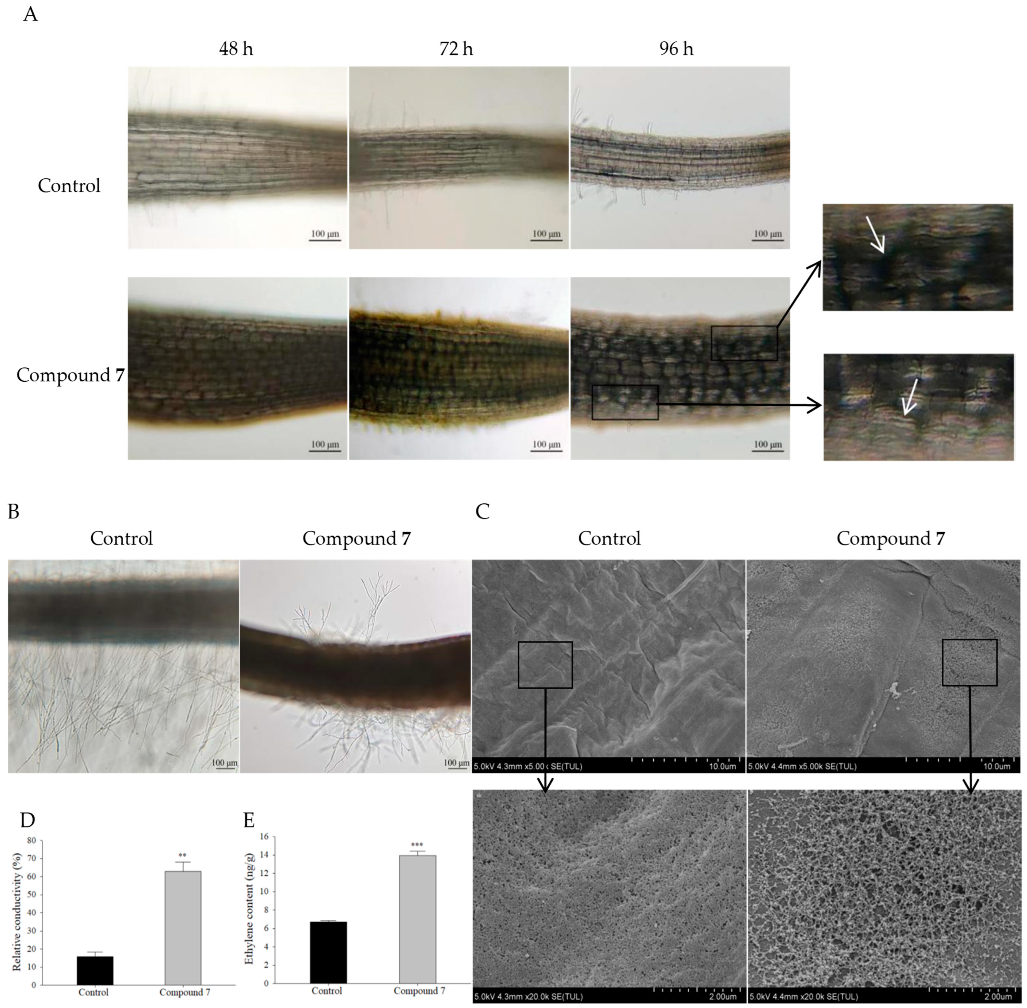 Molecules 29 03040 g006