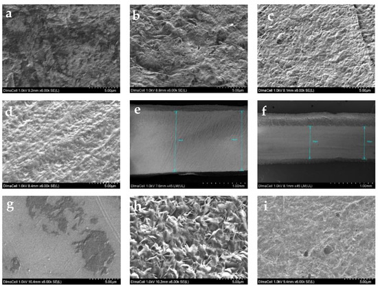 Direct Defluorination and Amination of Polytetrafluoroethylene and ...