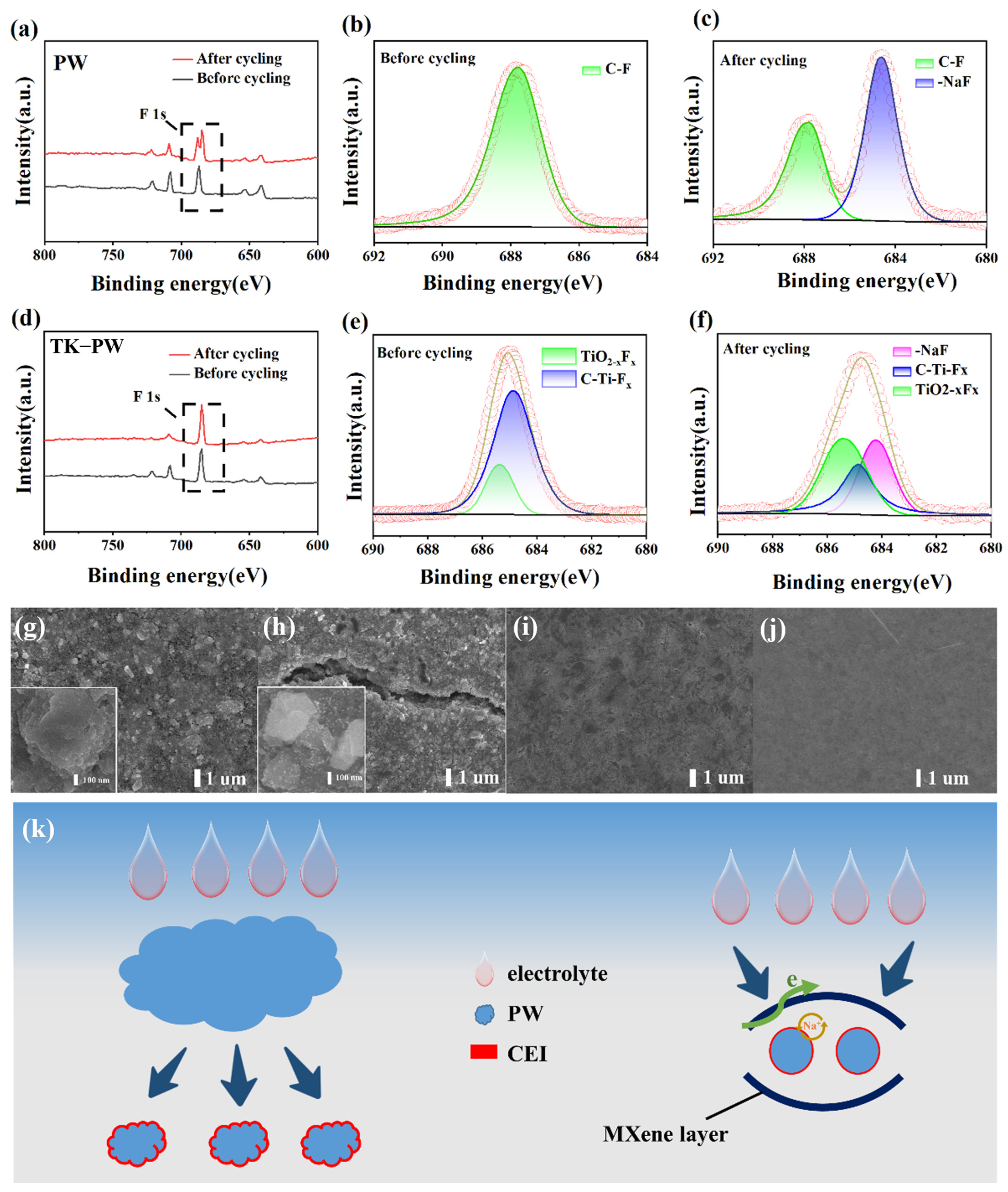 Molecules 29 03048 g005