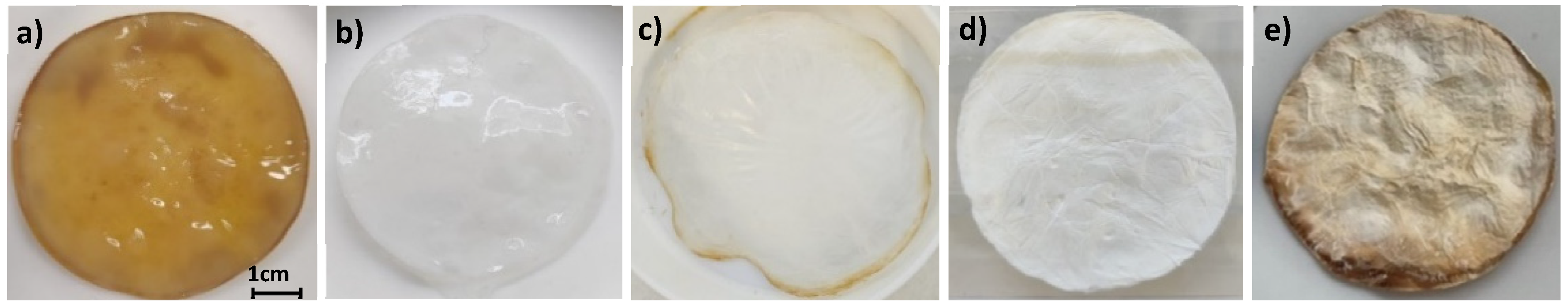 Molecules 29 03057 g001