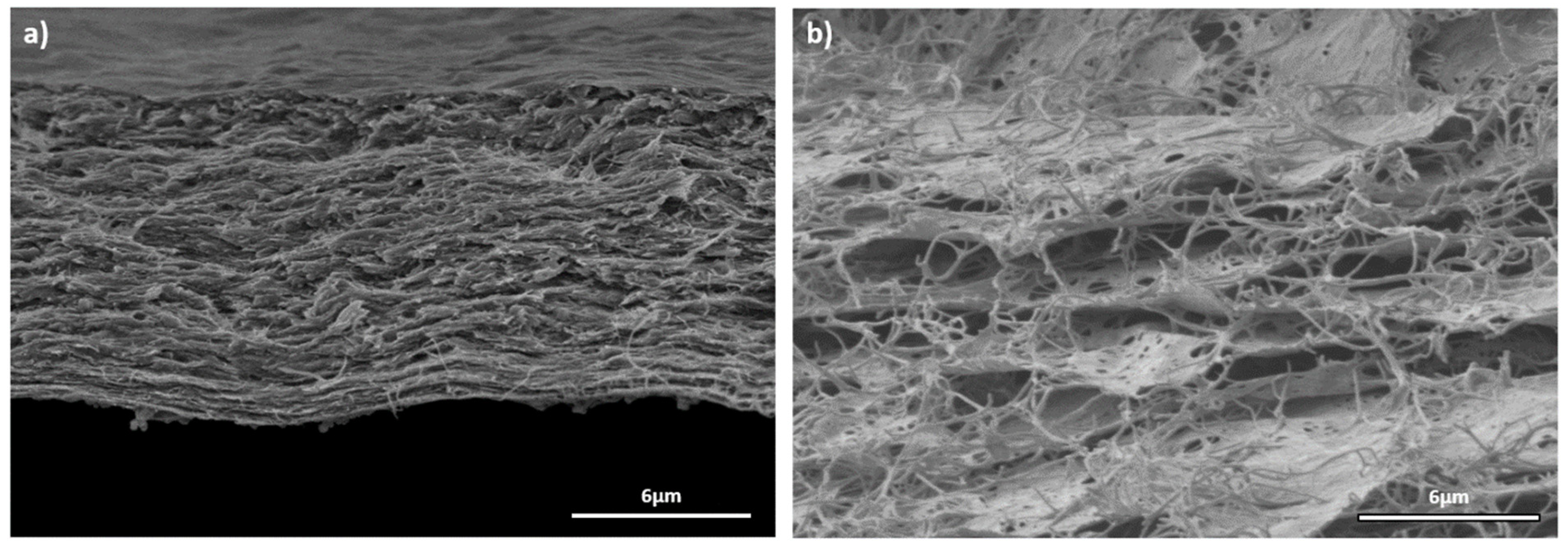Molecules 29 03057 g003