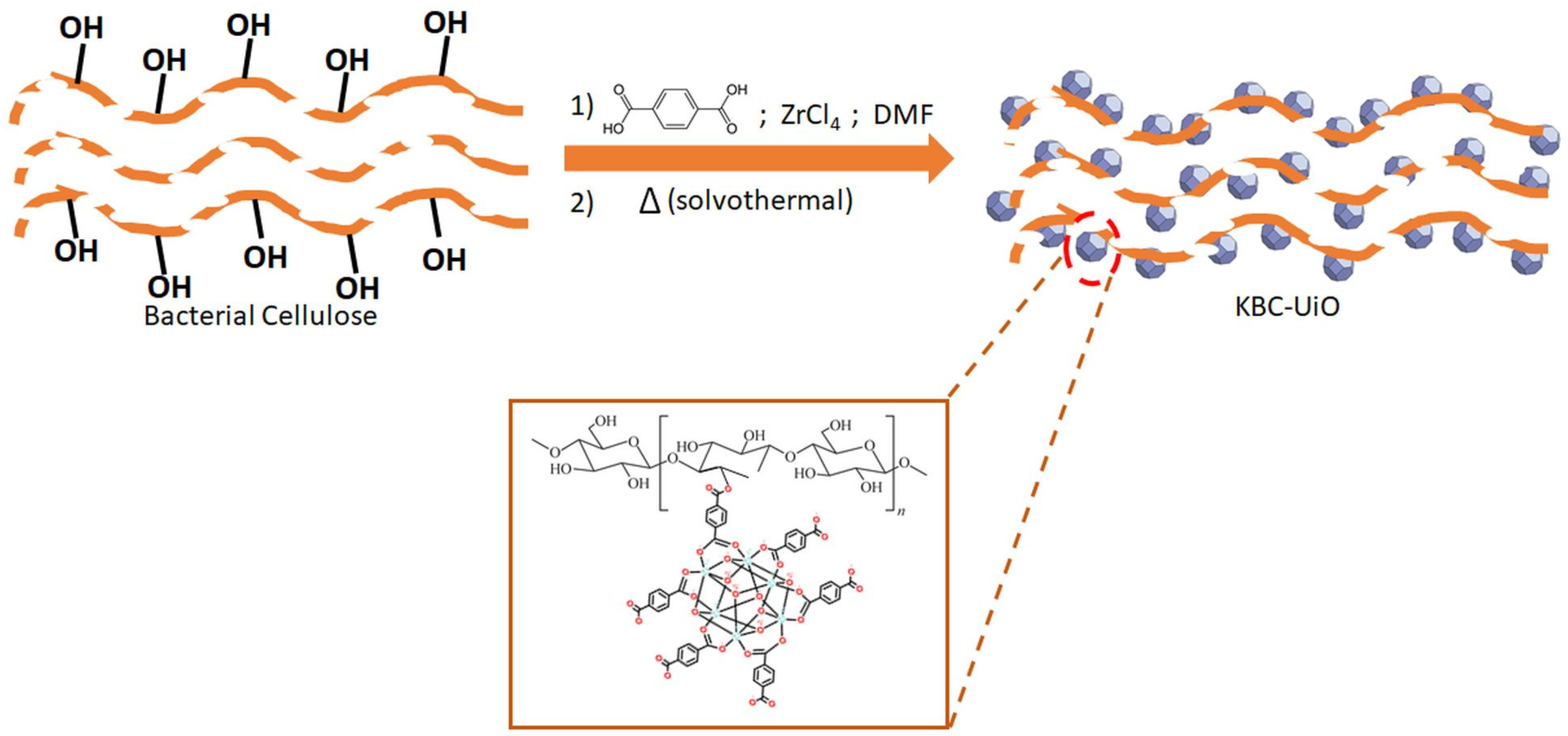 Molecules 29 03057 g004