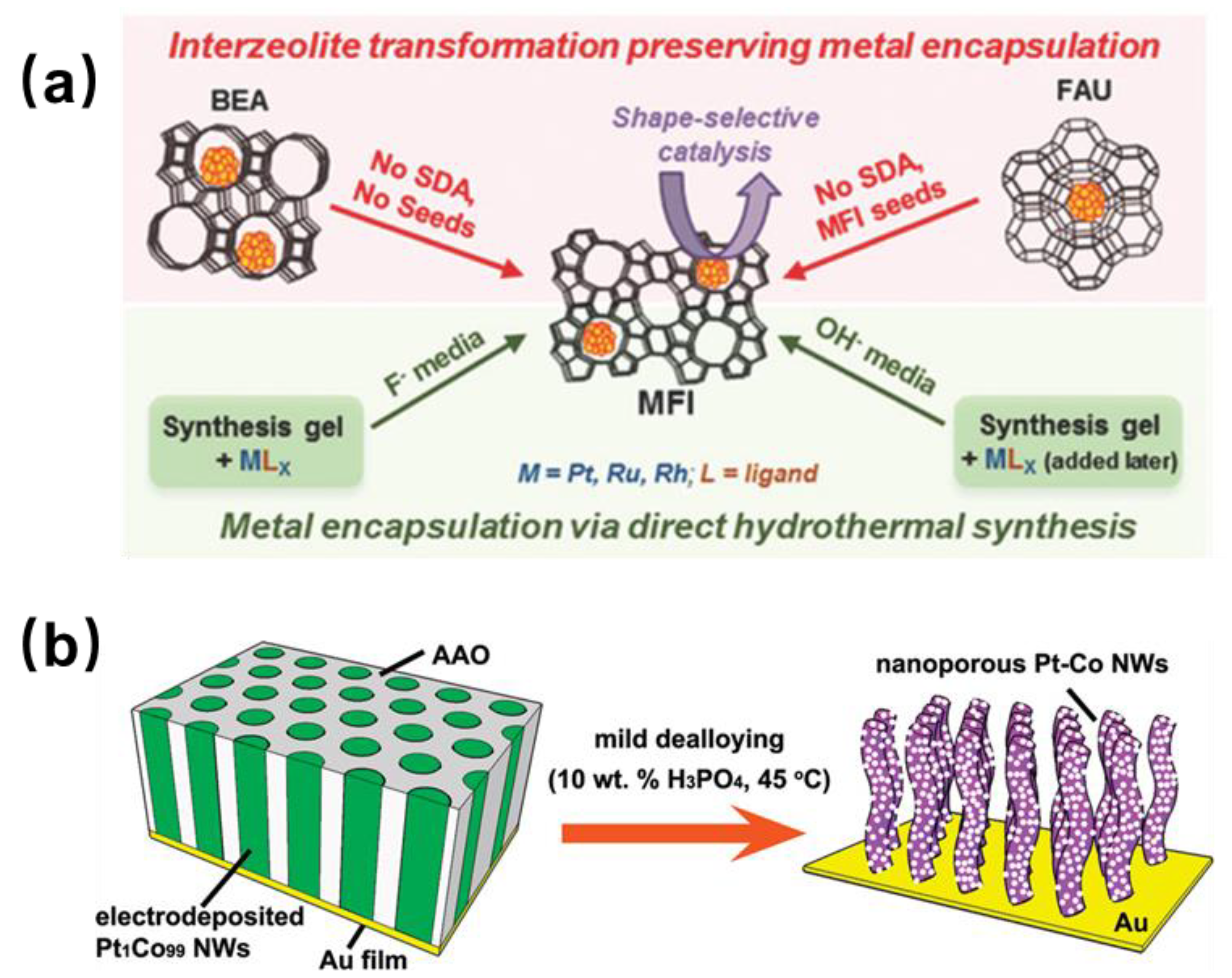 Molecules 29 03062 g003