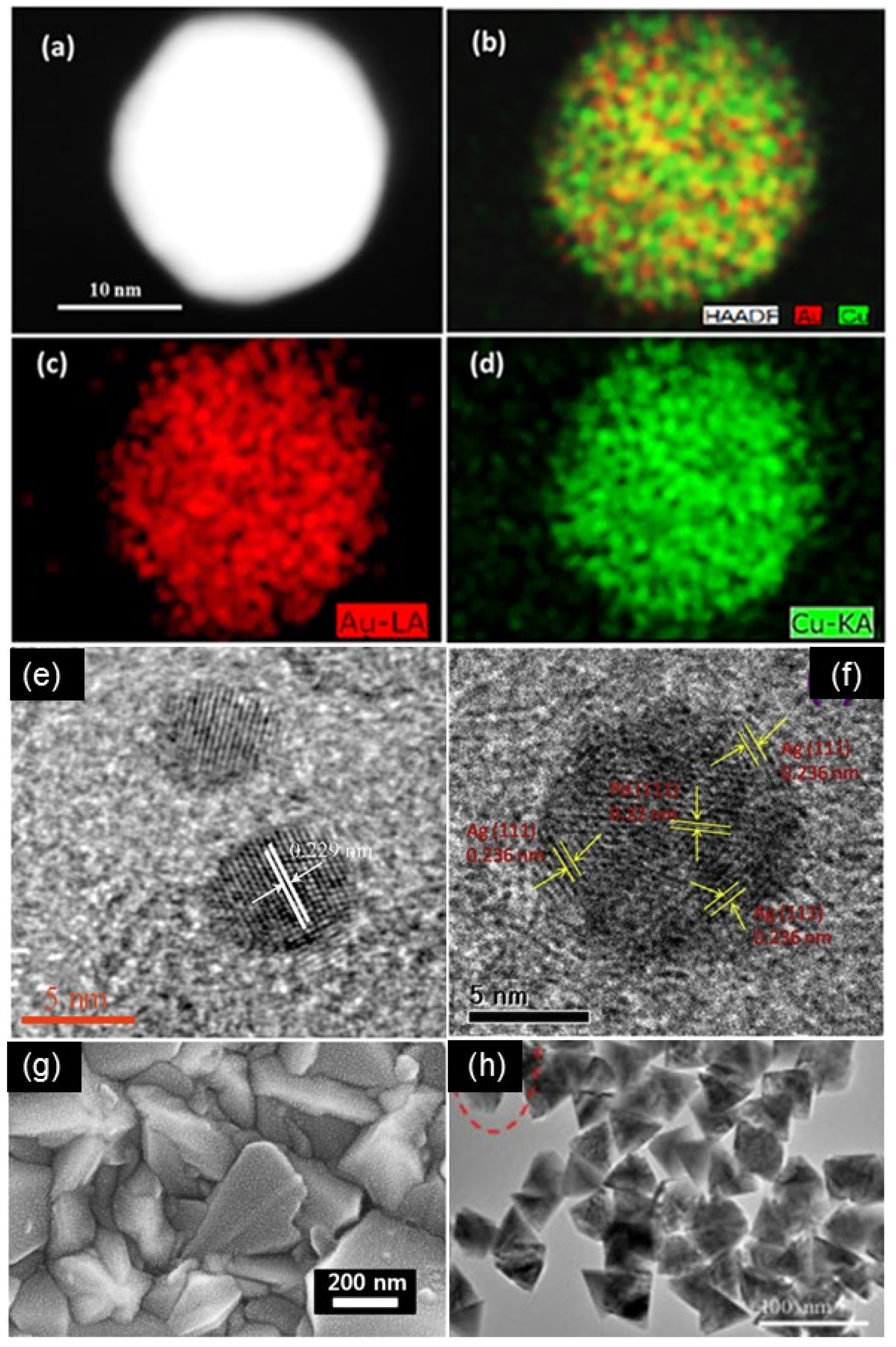 Molecules 29 03062 g005
