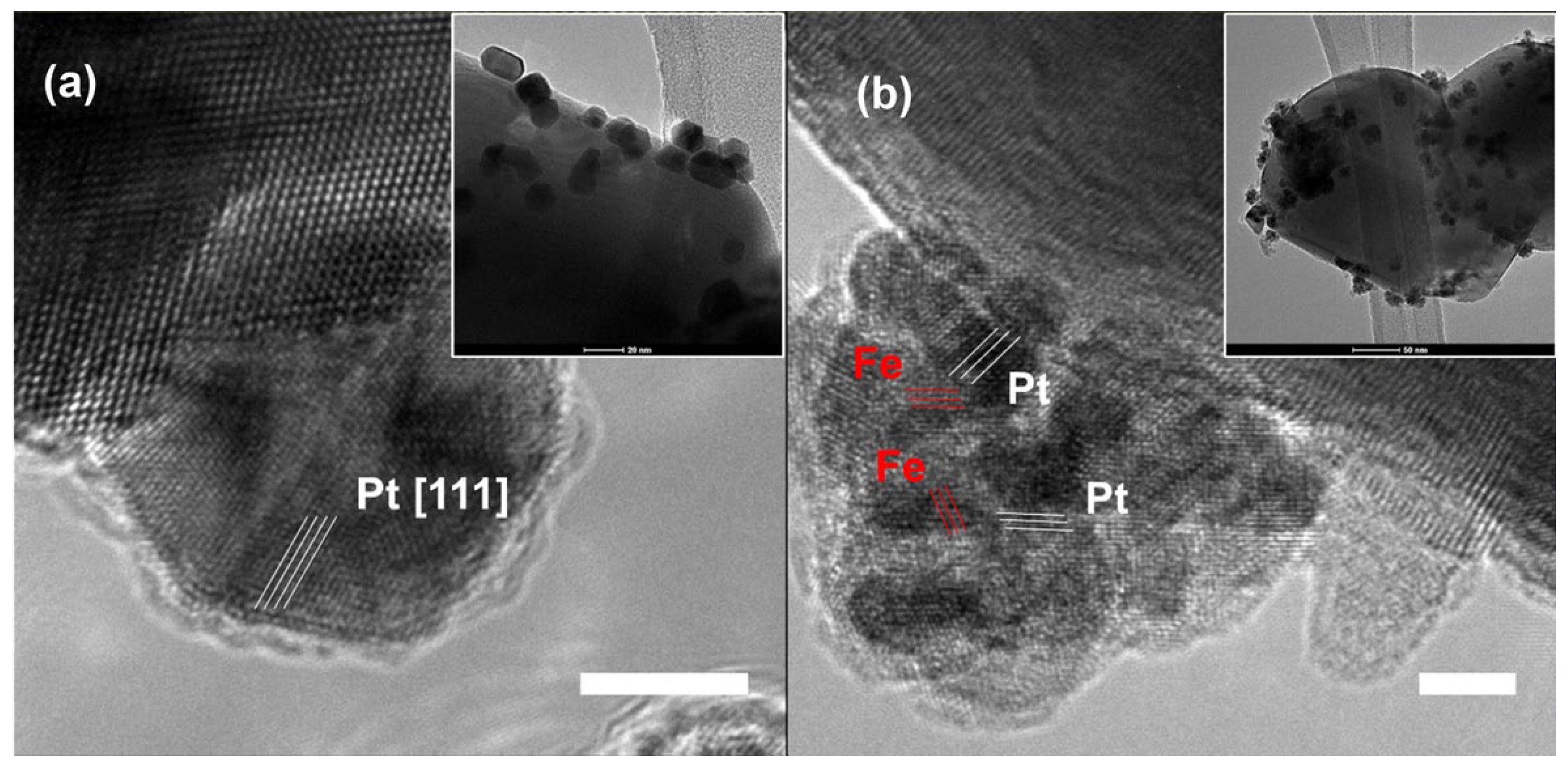 Molecules 29 03062 g007