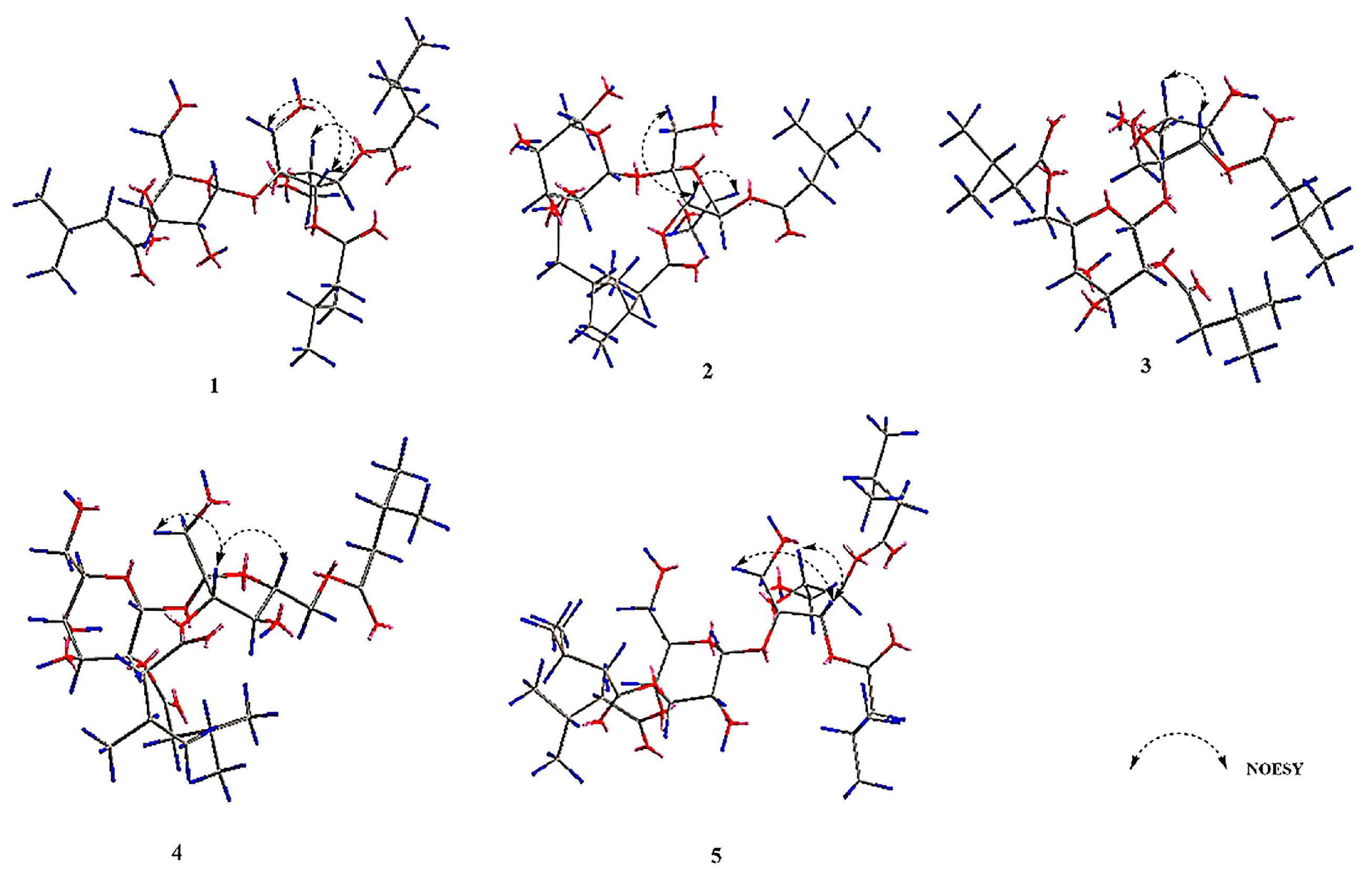 Molecules 29 03069 g003