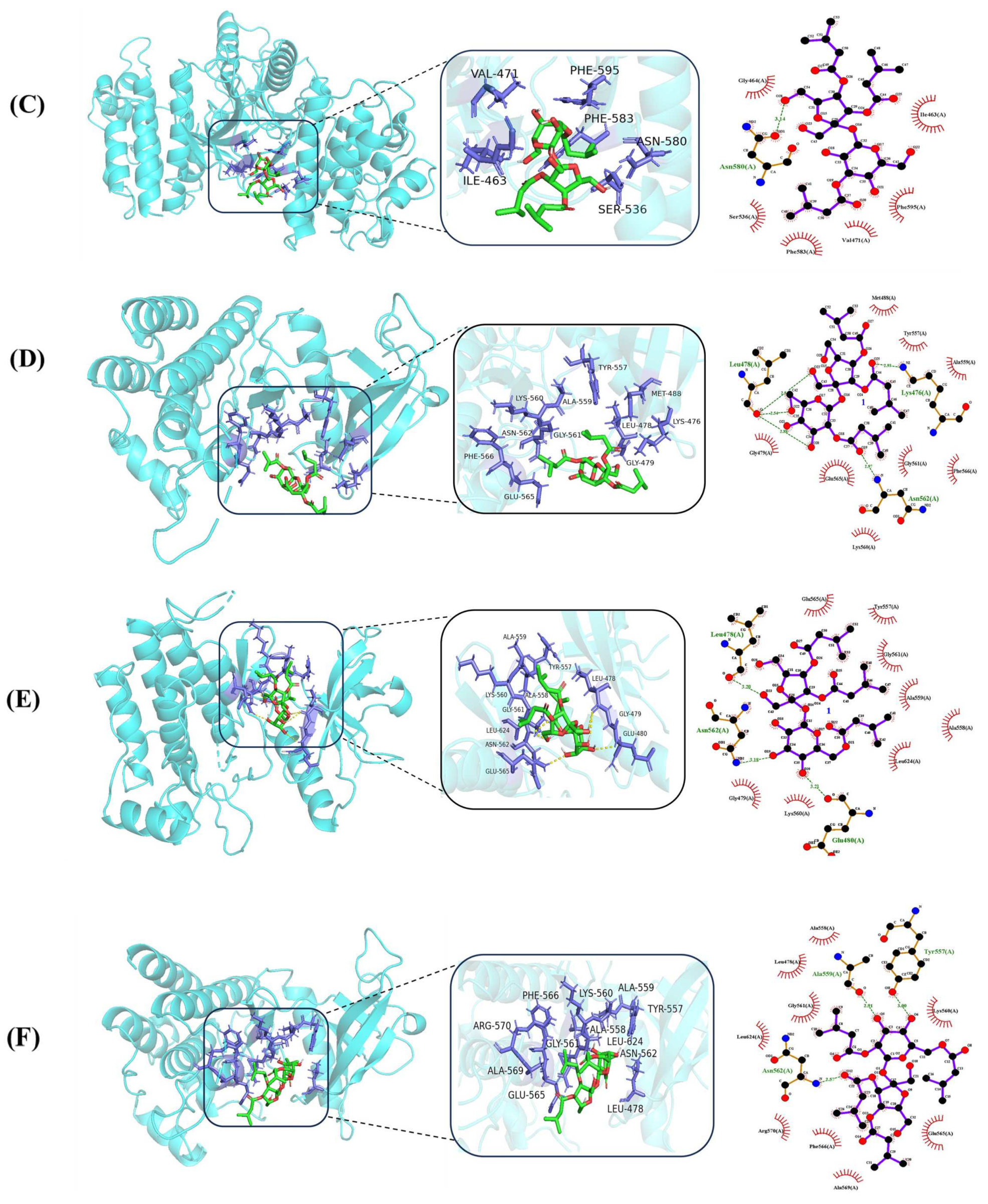 Molecules 29 03069 g005b