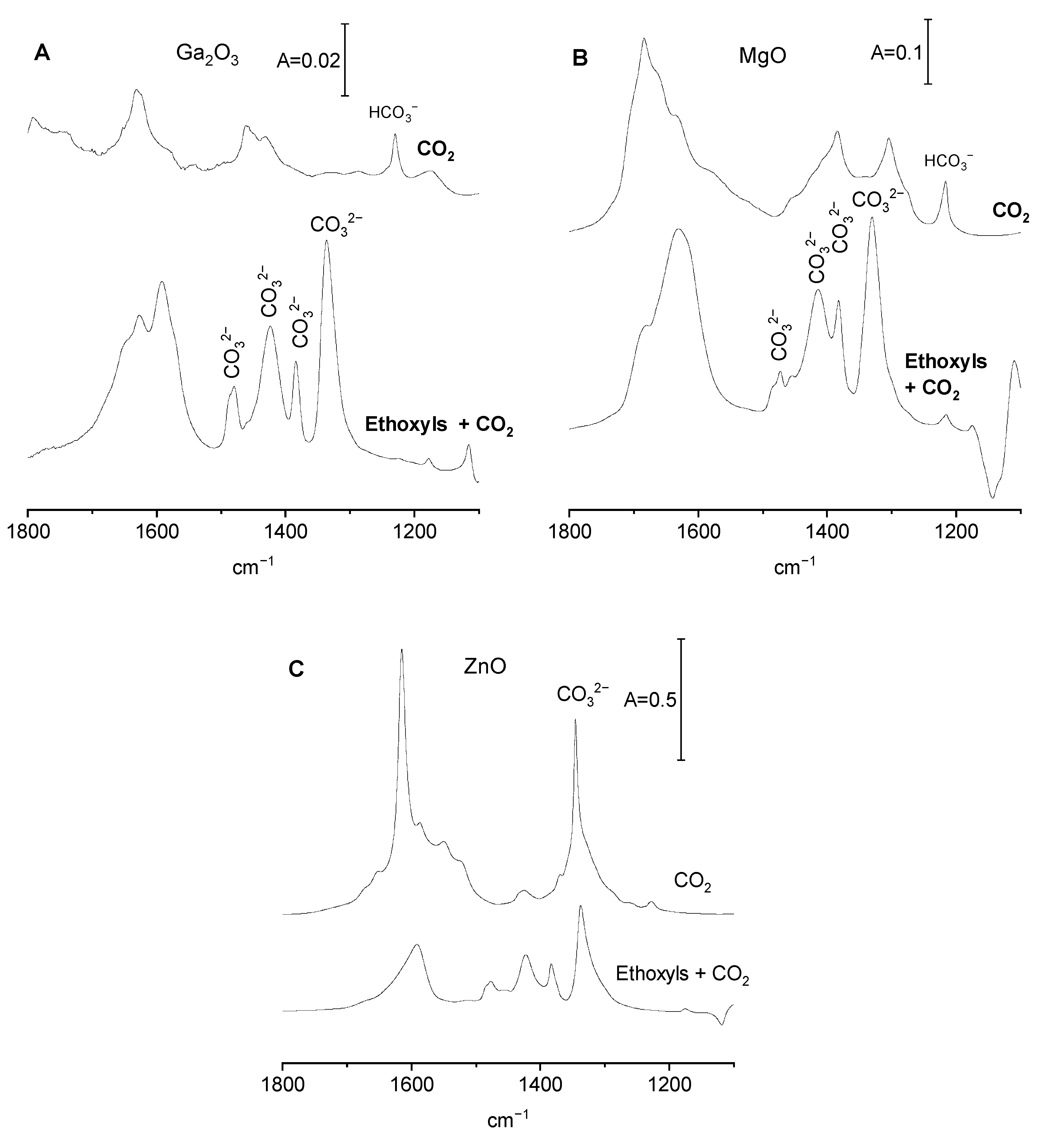 Molecules 29 03070 g004