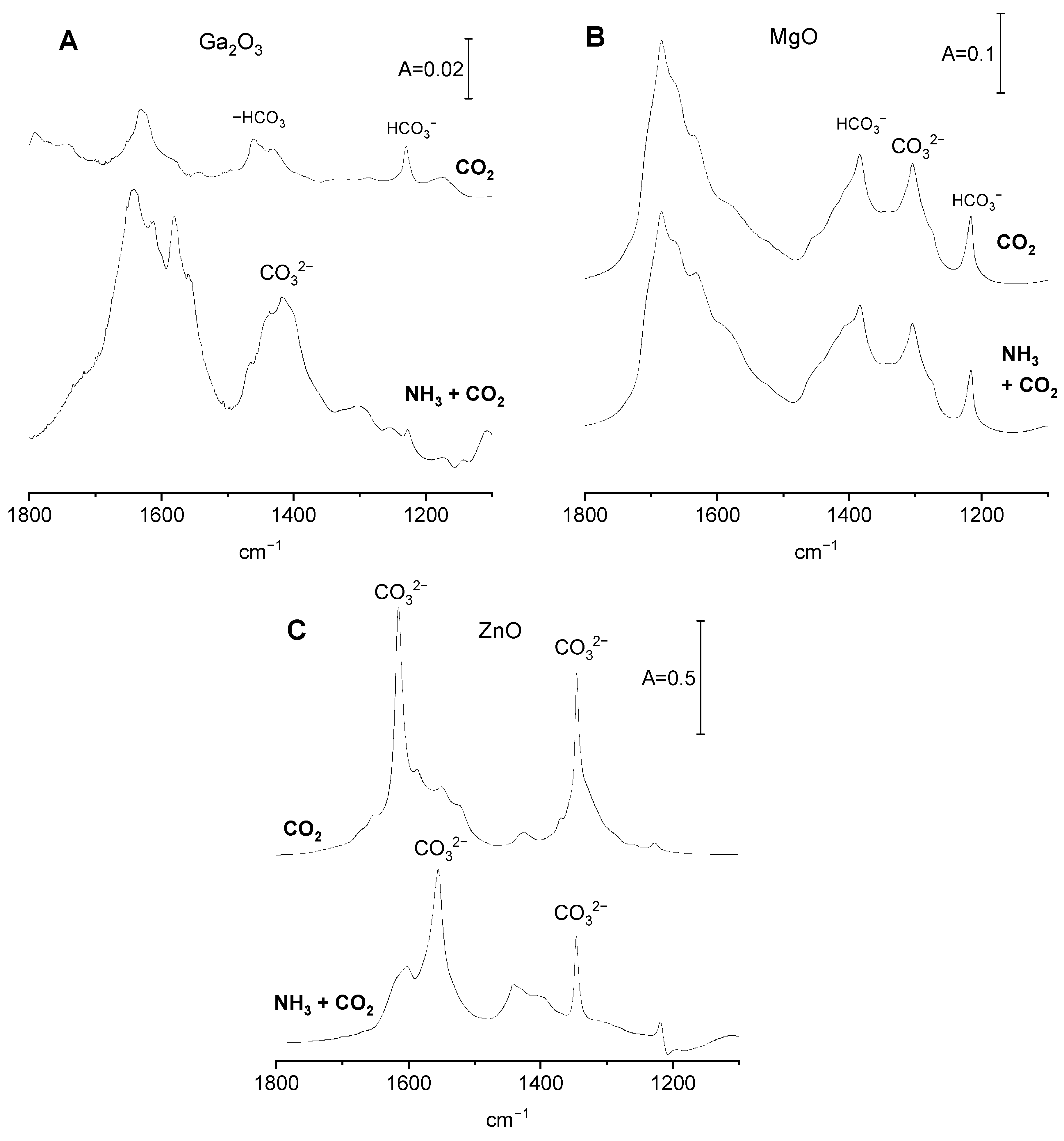 Molecules 29 03070 g005