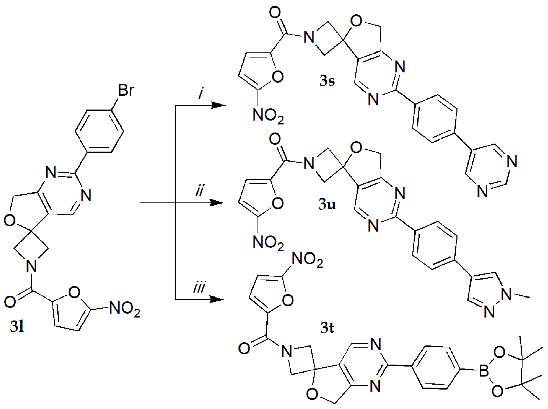 Molecules 29 03071 sch002