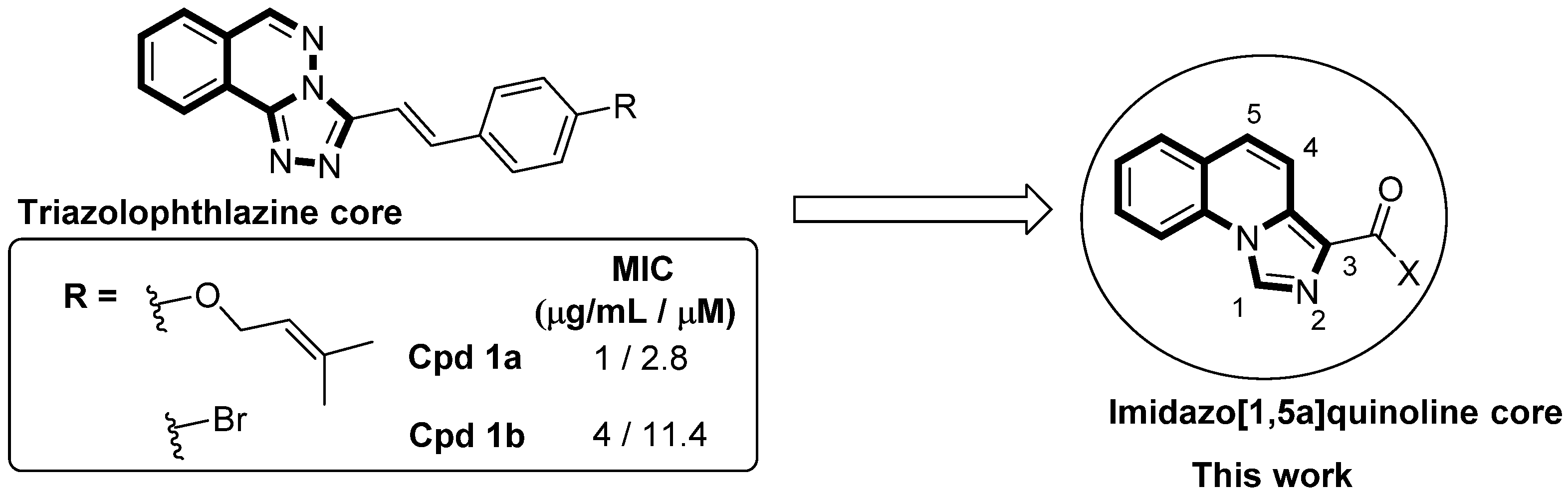 Molecules 29 03076 g001