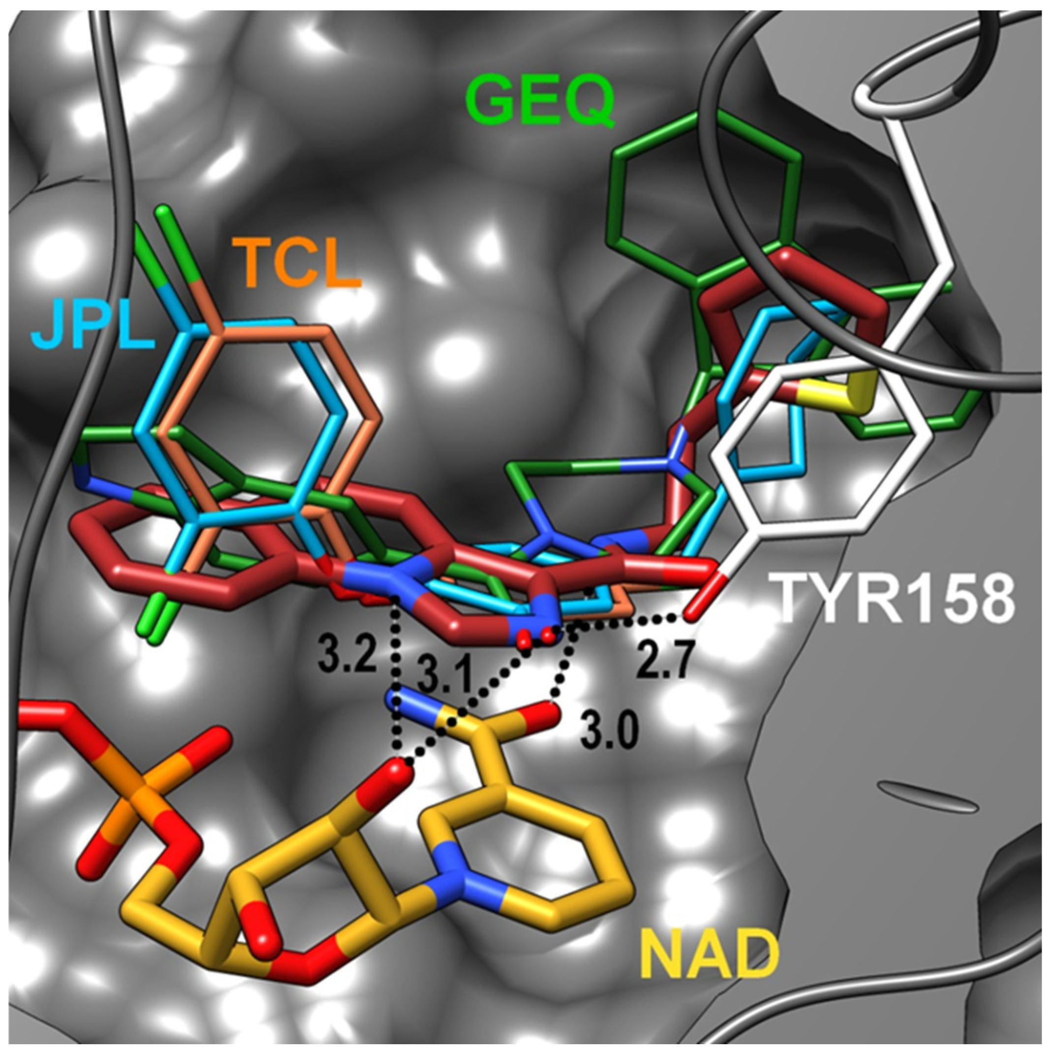 Molecules 29 03076 g004