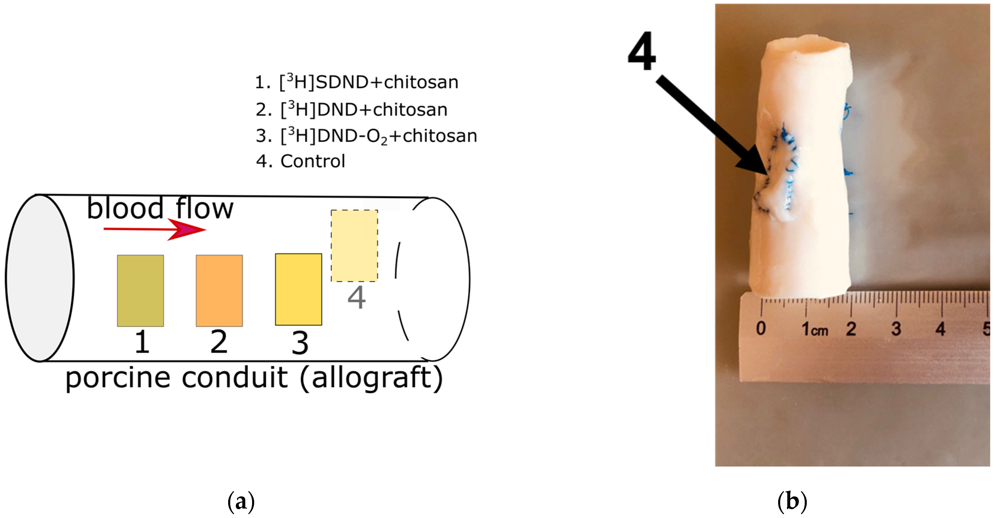 Molecules 29 03078 g003a
