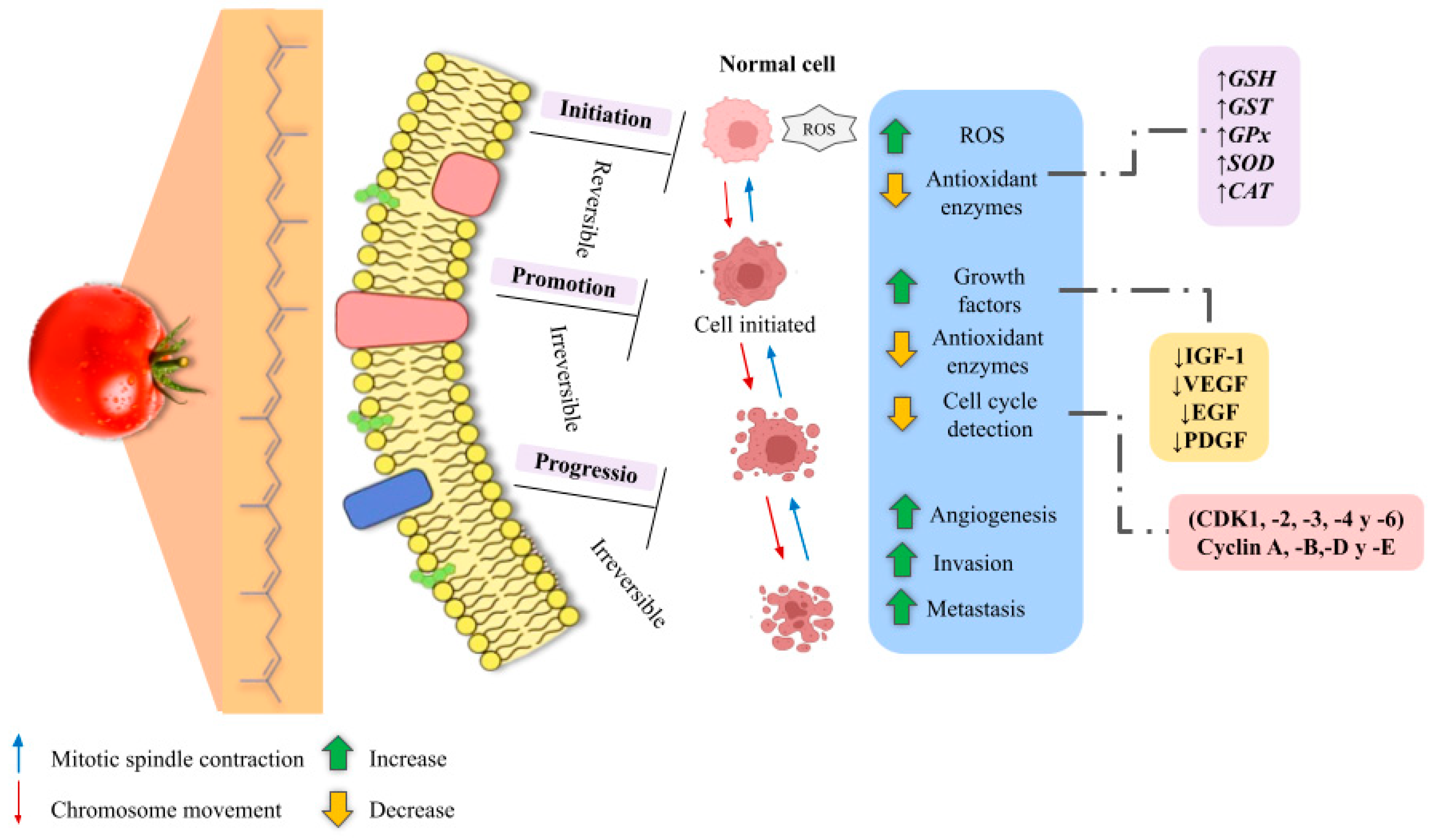 Molecules 29 03079 g009